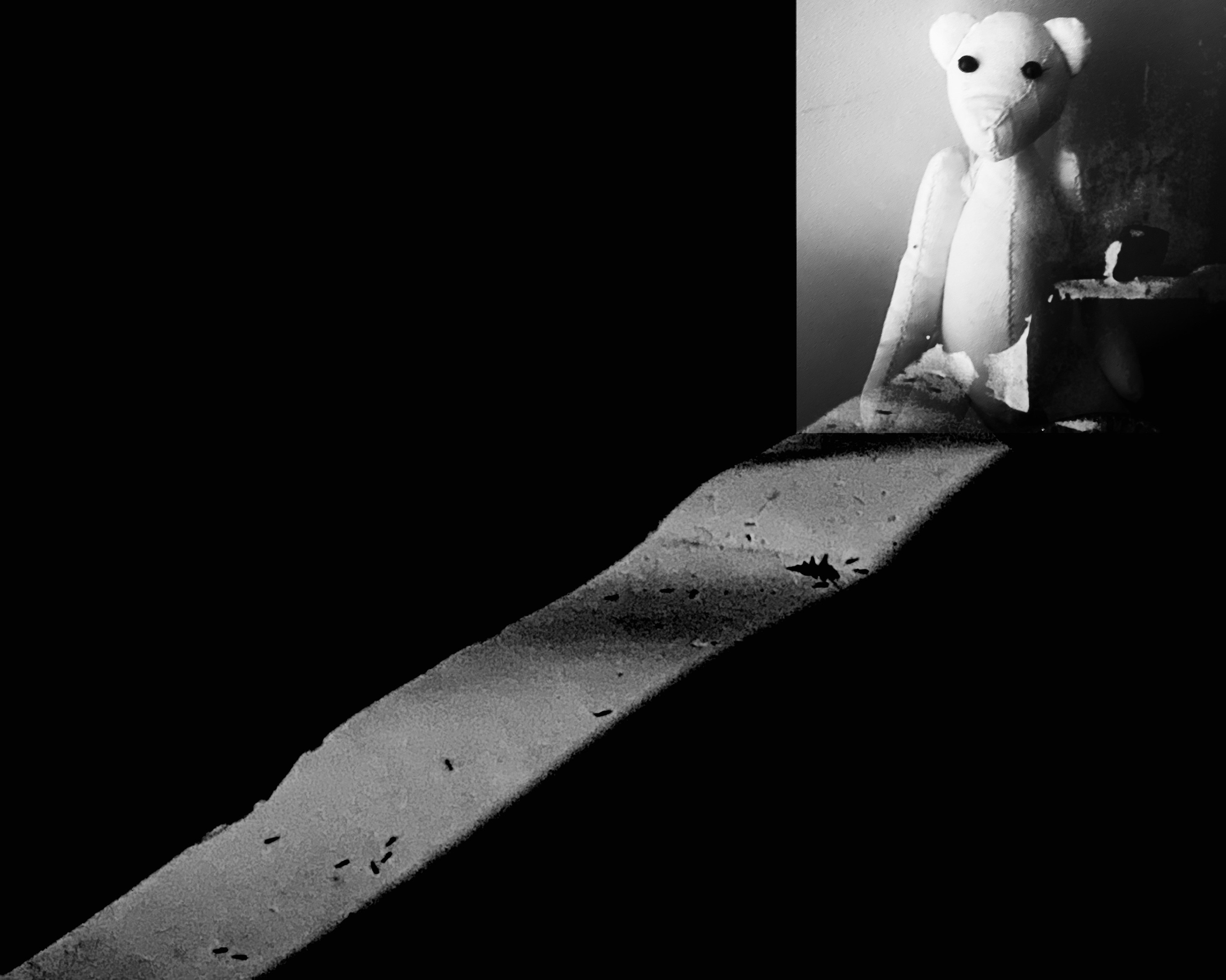 2025 год. Тащилин Сергей. Фотографии. Жизнь. Хобби