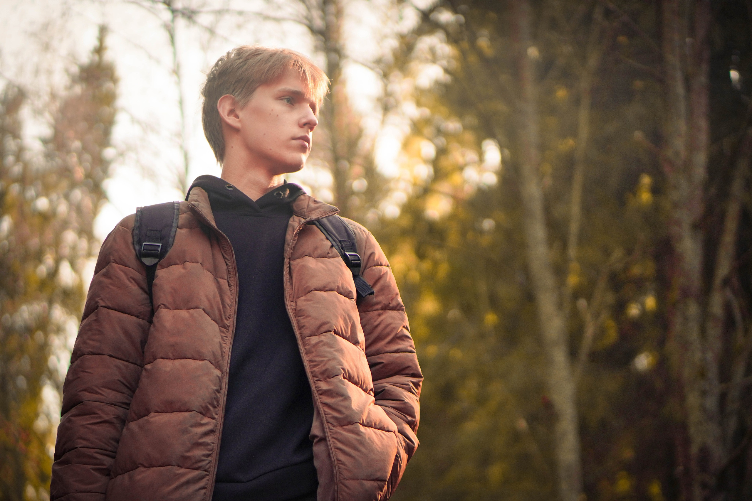 Лев. Видео и Фото