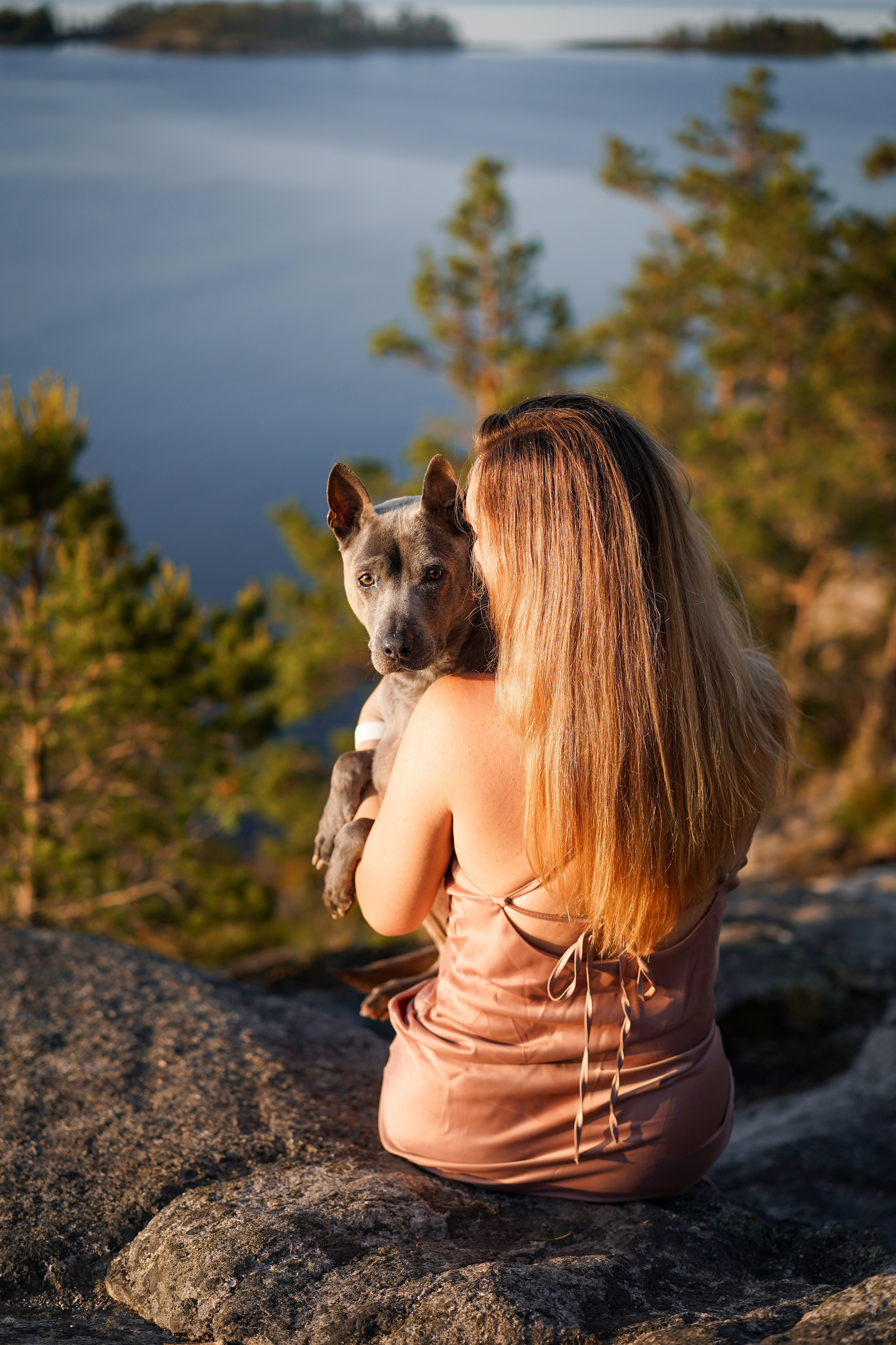 Даша Фифа Гага и Вениамина. Фотограф-анималист в Санкт-Петербурге Яна Мартынова