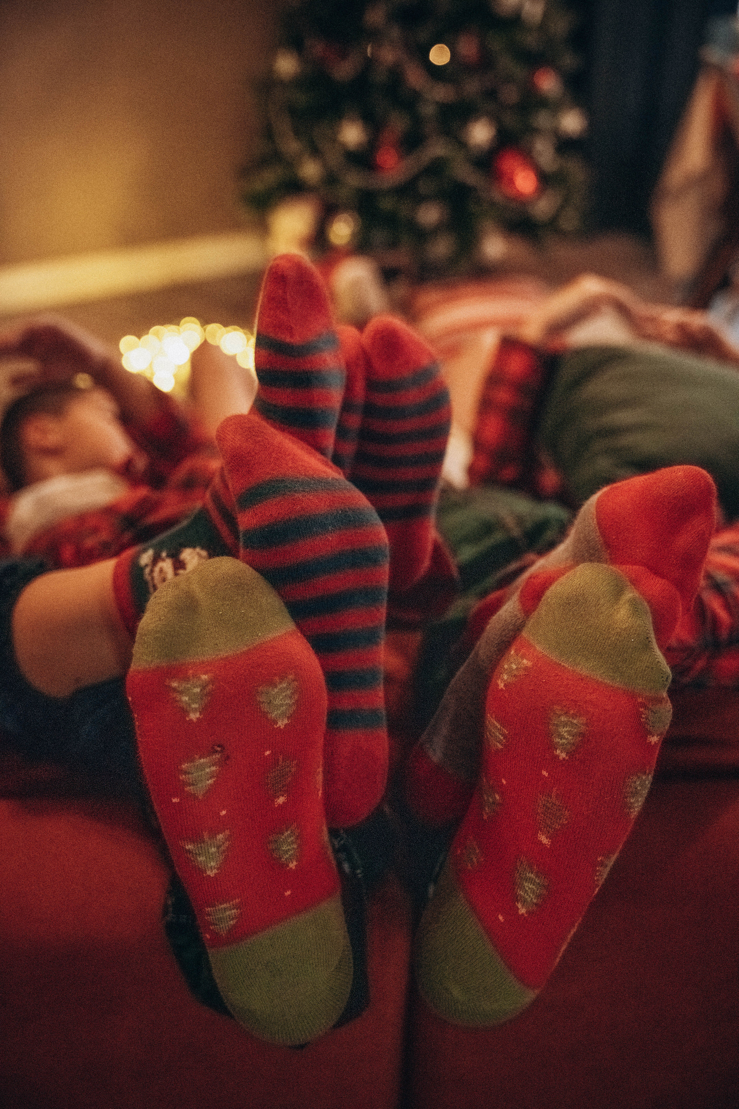 Семья Степкиных 10.12.2022. Фотограф СПб. Фотопрогулки. Меркулова Юлия