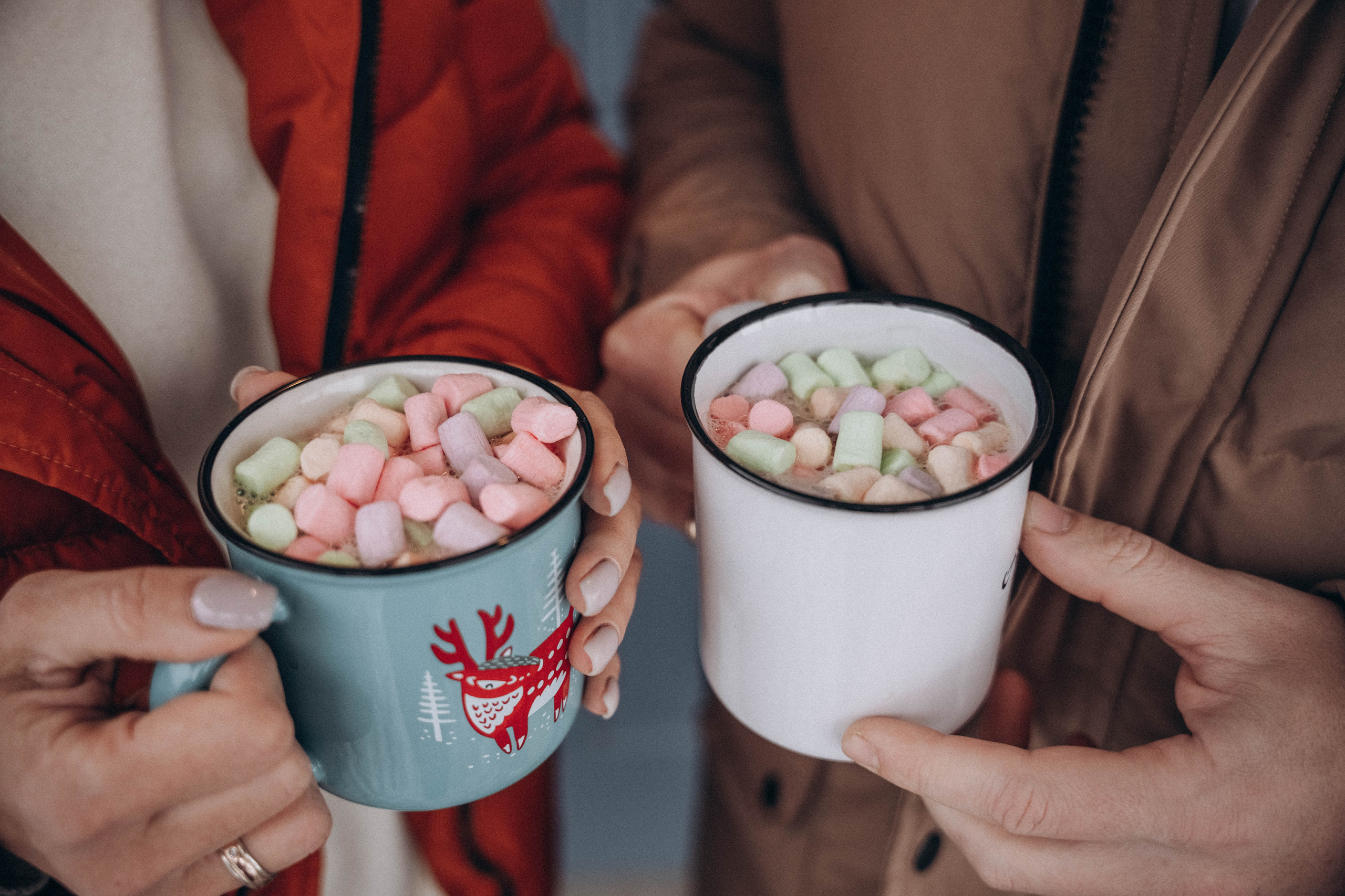 Семья Степкиных 10.12.2022. Фотограф СПб. Фотопрогулки. Меркулова Юлия