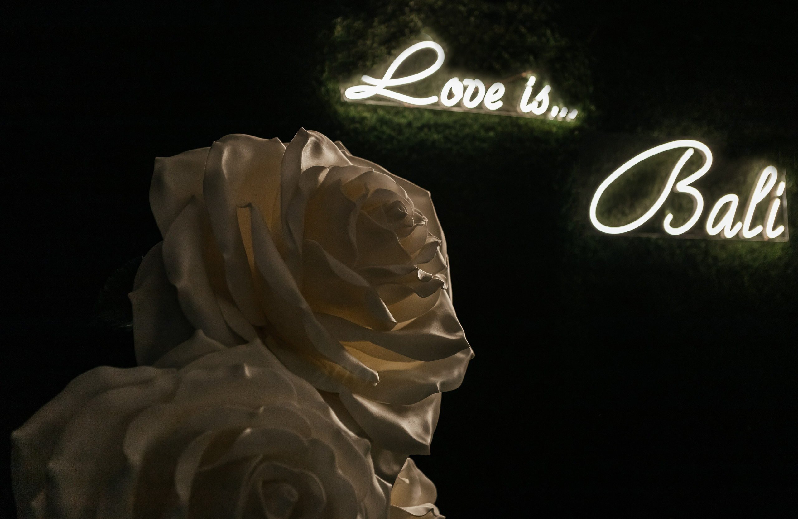 H & A. Семейный и свадебный фотограф в Петербурге Евгения и Николай Шевчук