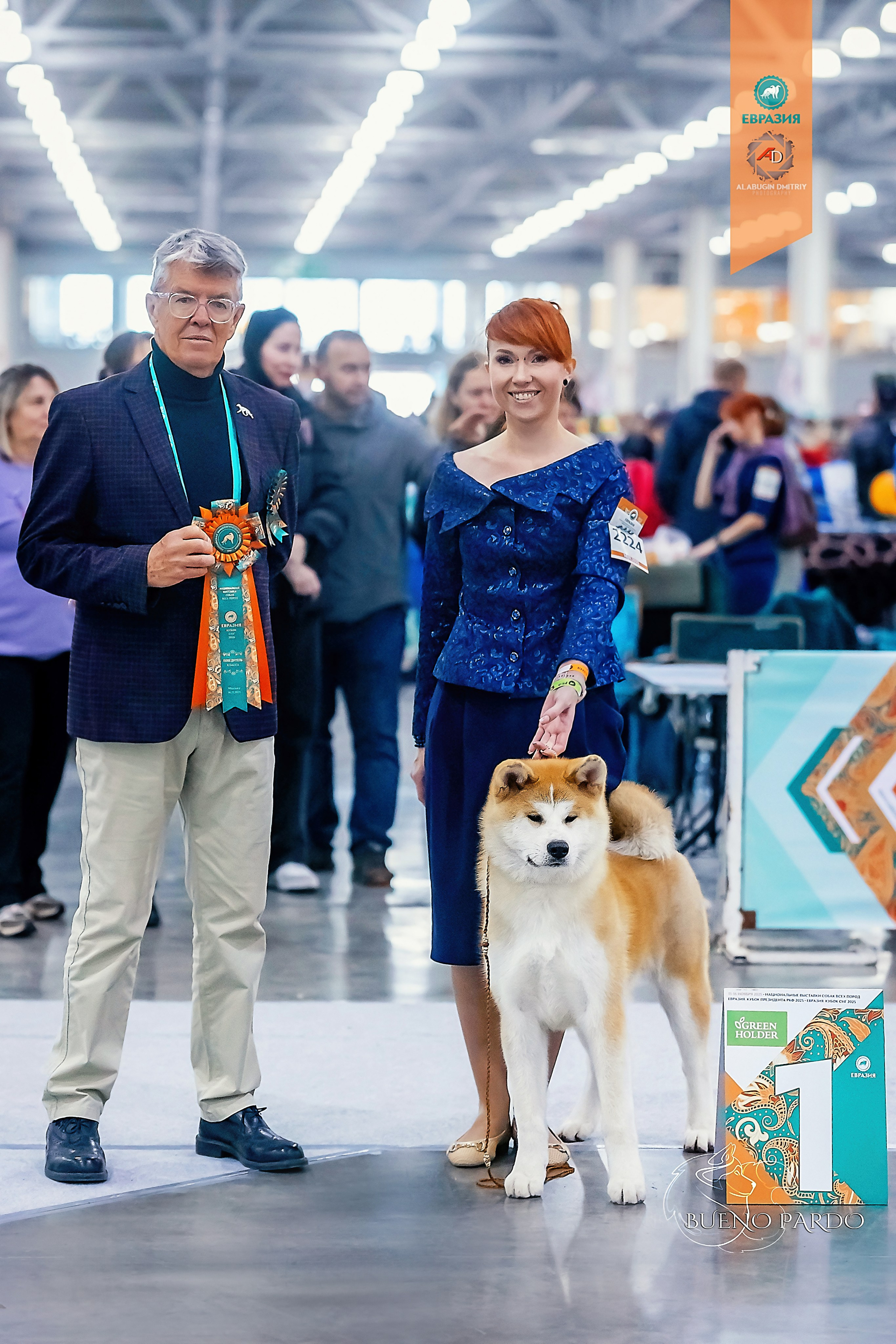 АКИТА. Kawaii Kuma питомник собак пород Корги пемброк, Акита ину, Сиба