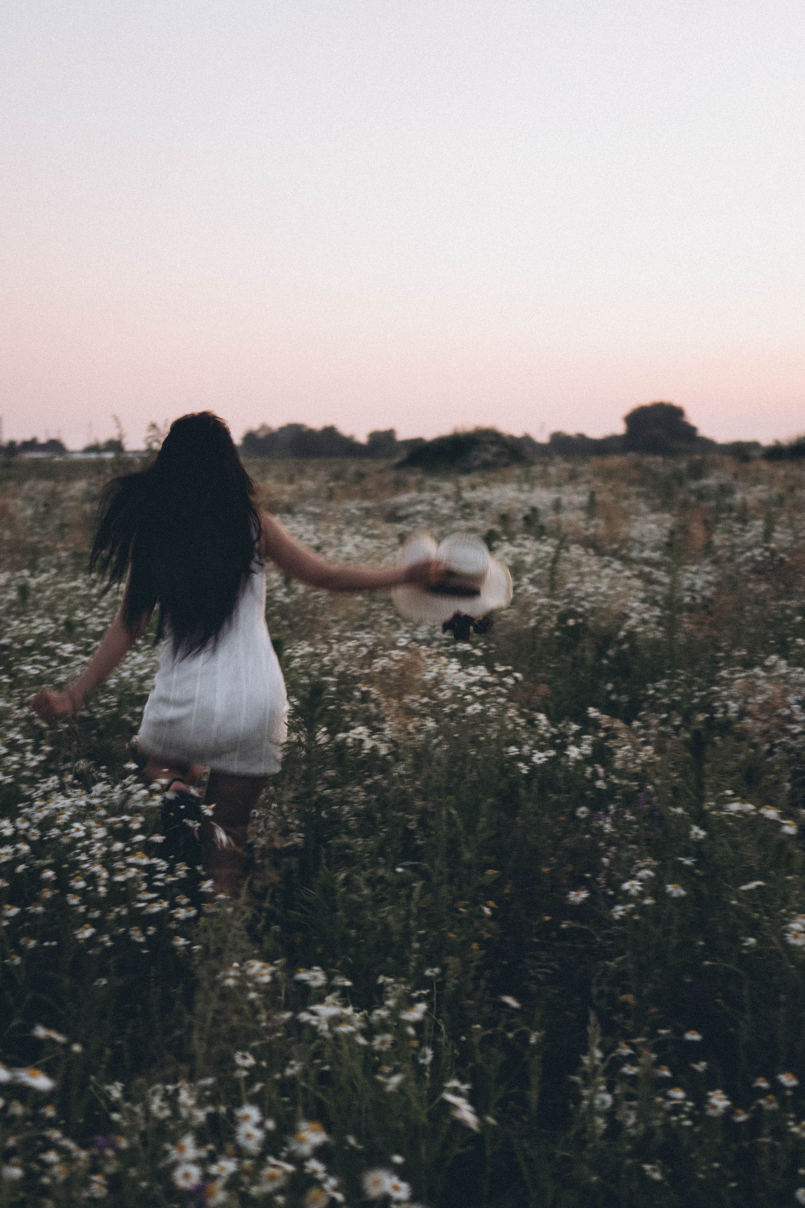 Ромашковое поле. Профессиональный фотограф, Санкт-Петербург — Виктория Богомолова