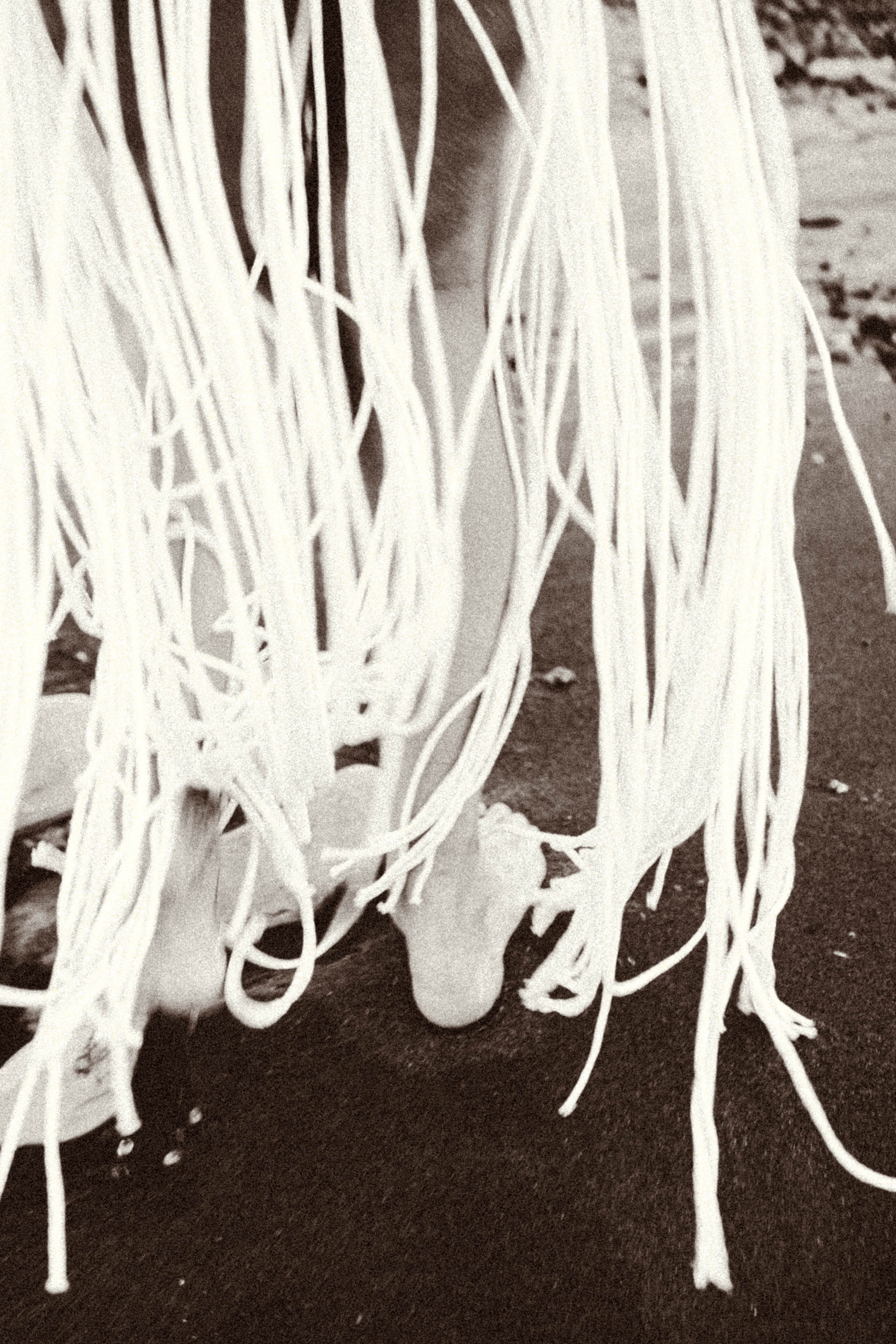 Рассвет. Профессиональный фотограф, Санкт-Петербург — Виктория Богомолова