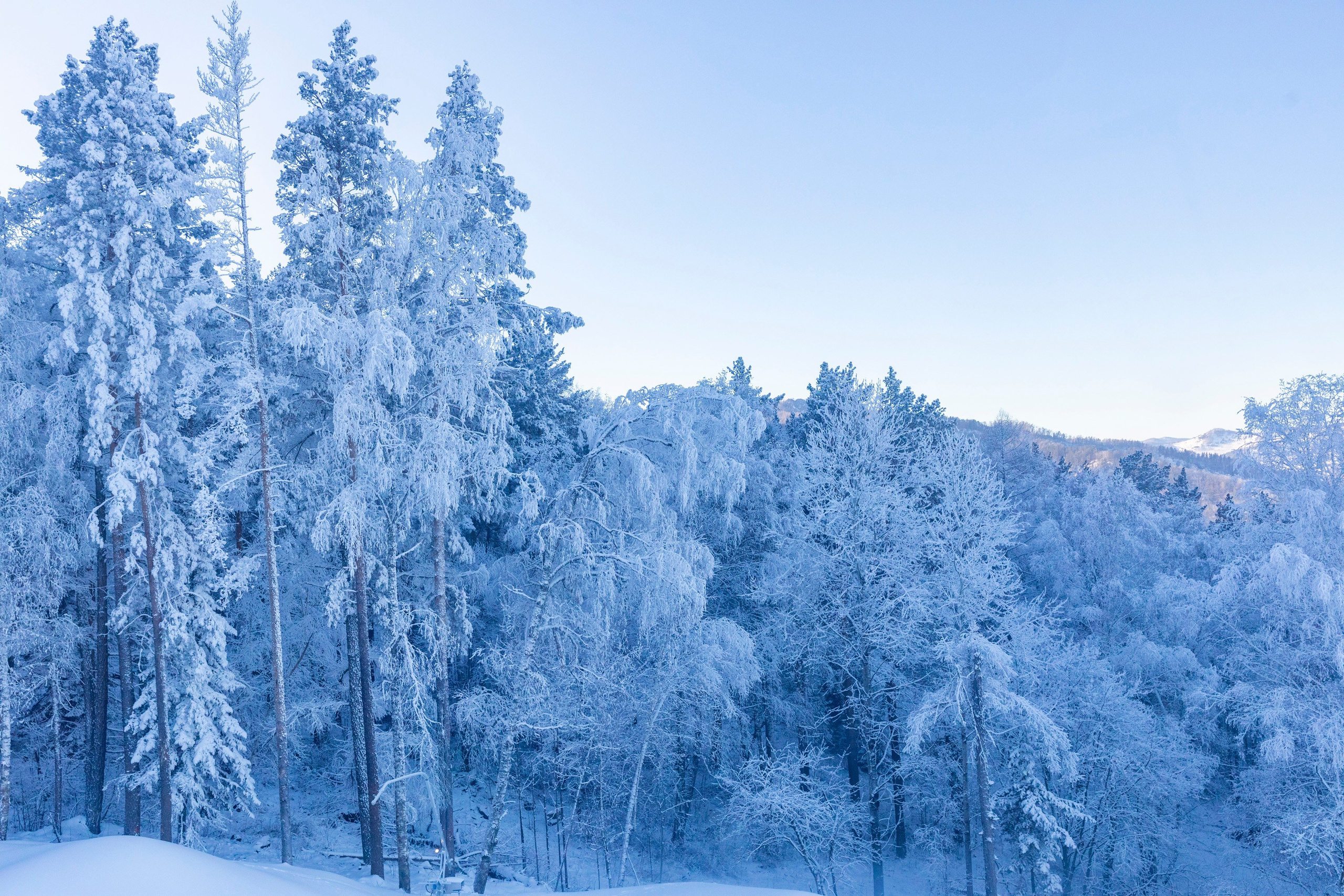 Алтай в декабре. Марина Захарова — Фотограф. Москва / Marina Zakharova — Photographer