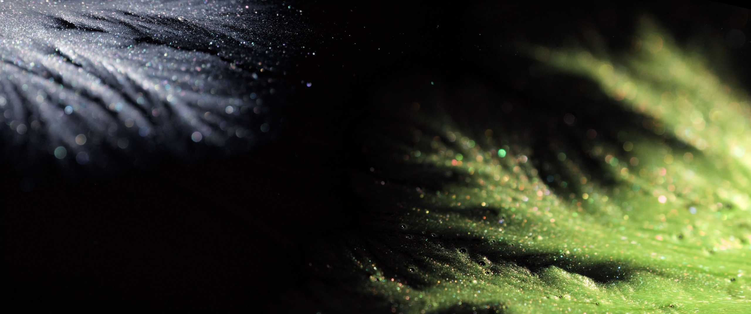 Genesis. Short films by Vadim Sherbakov