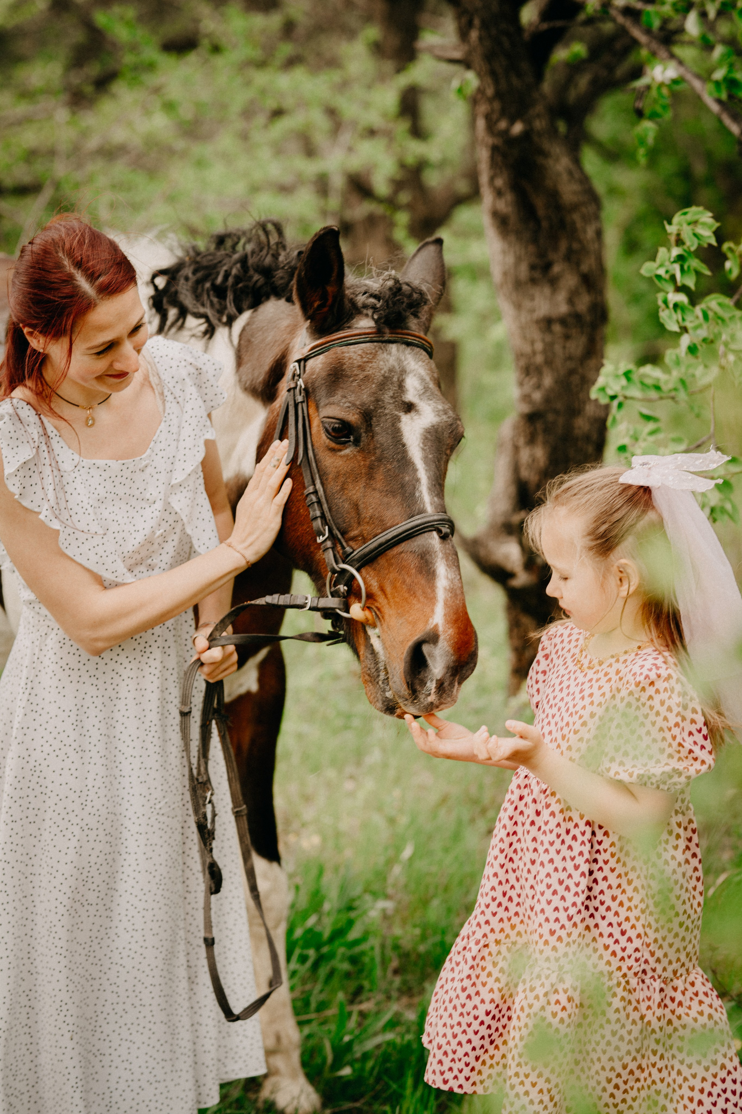 С лошадьми. Главная