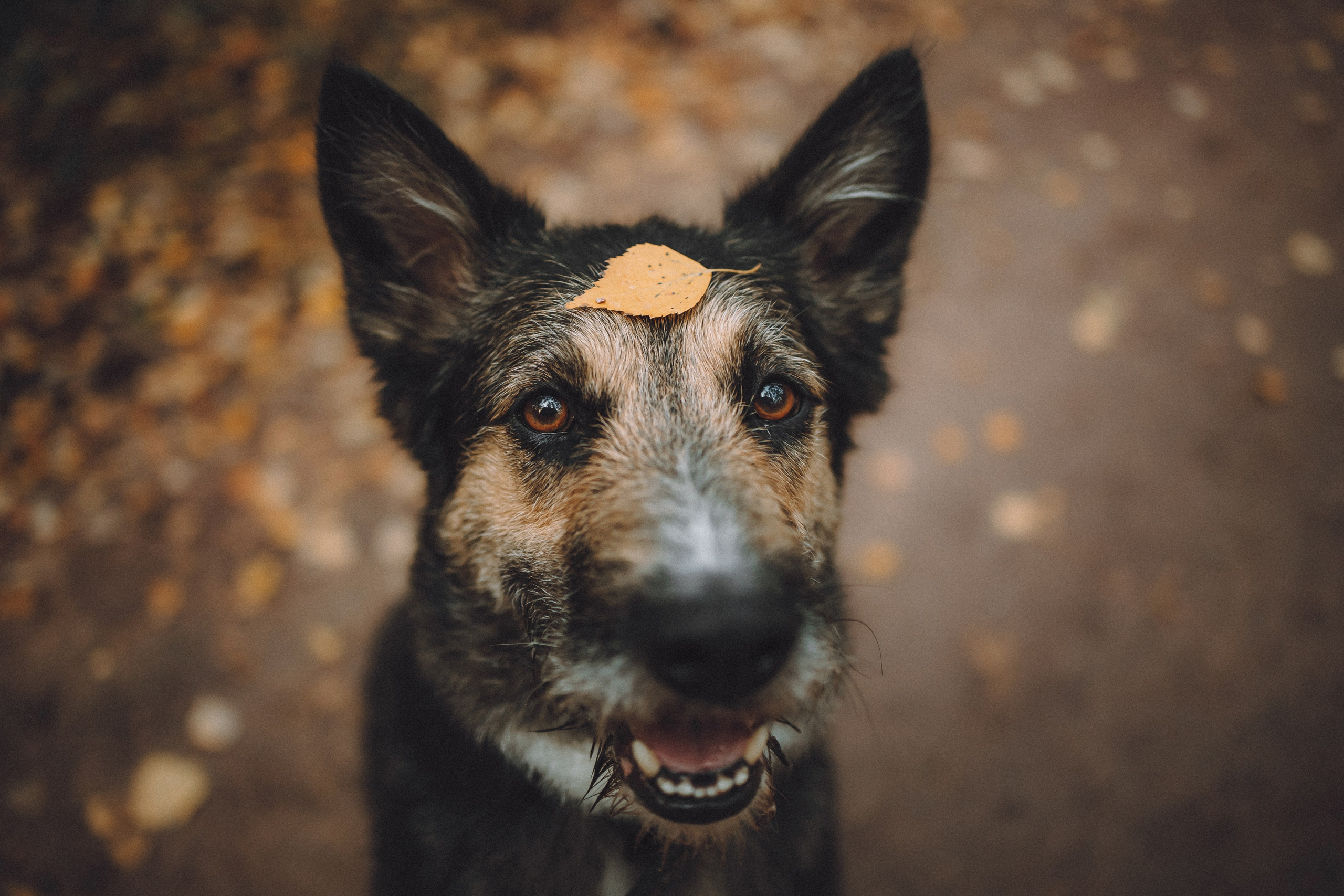 Рик, Джек и их семья