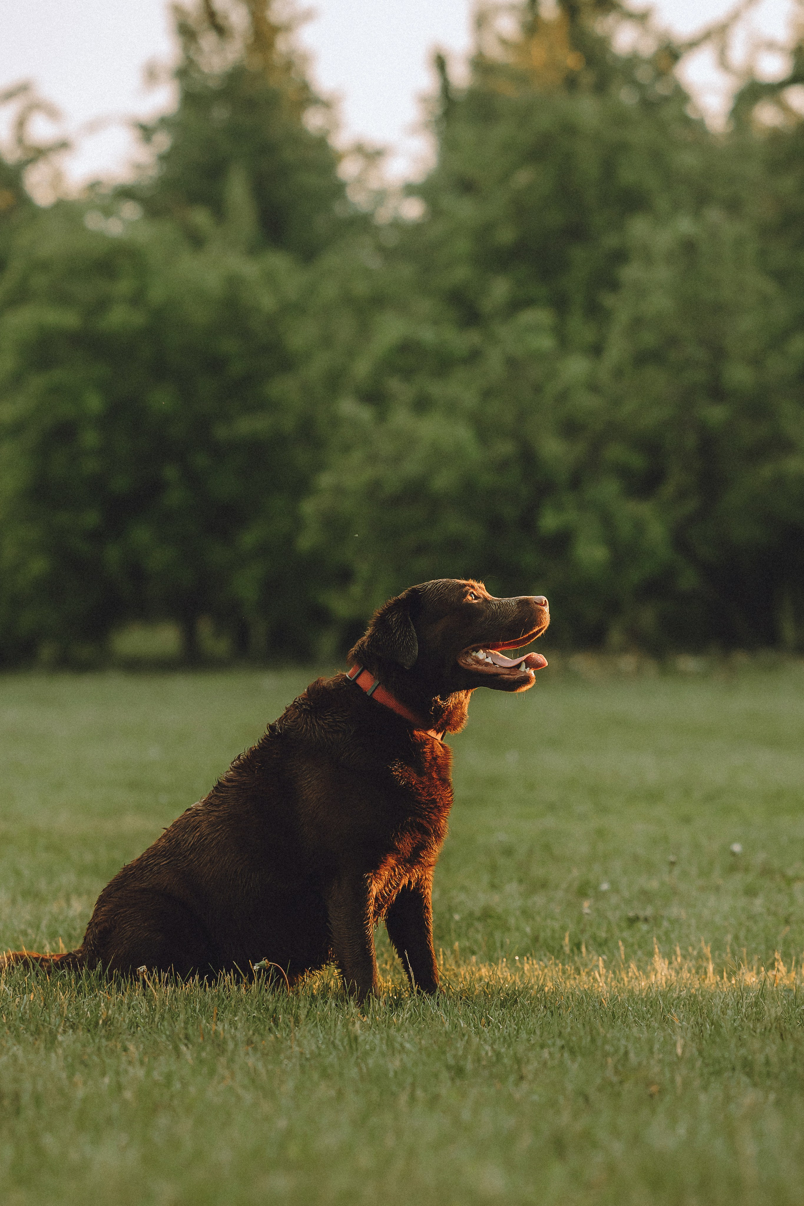 Катя, Ваня и Джеси
