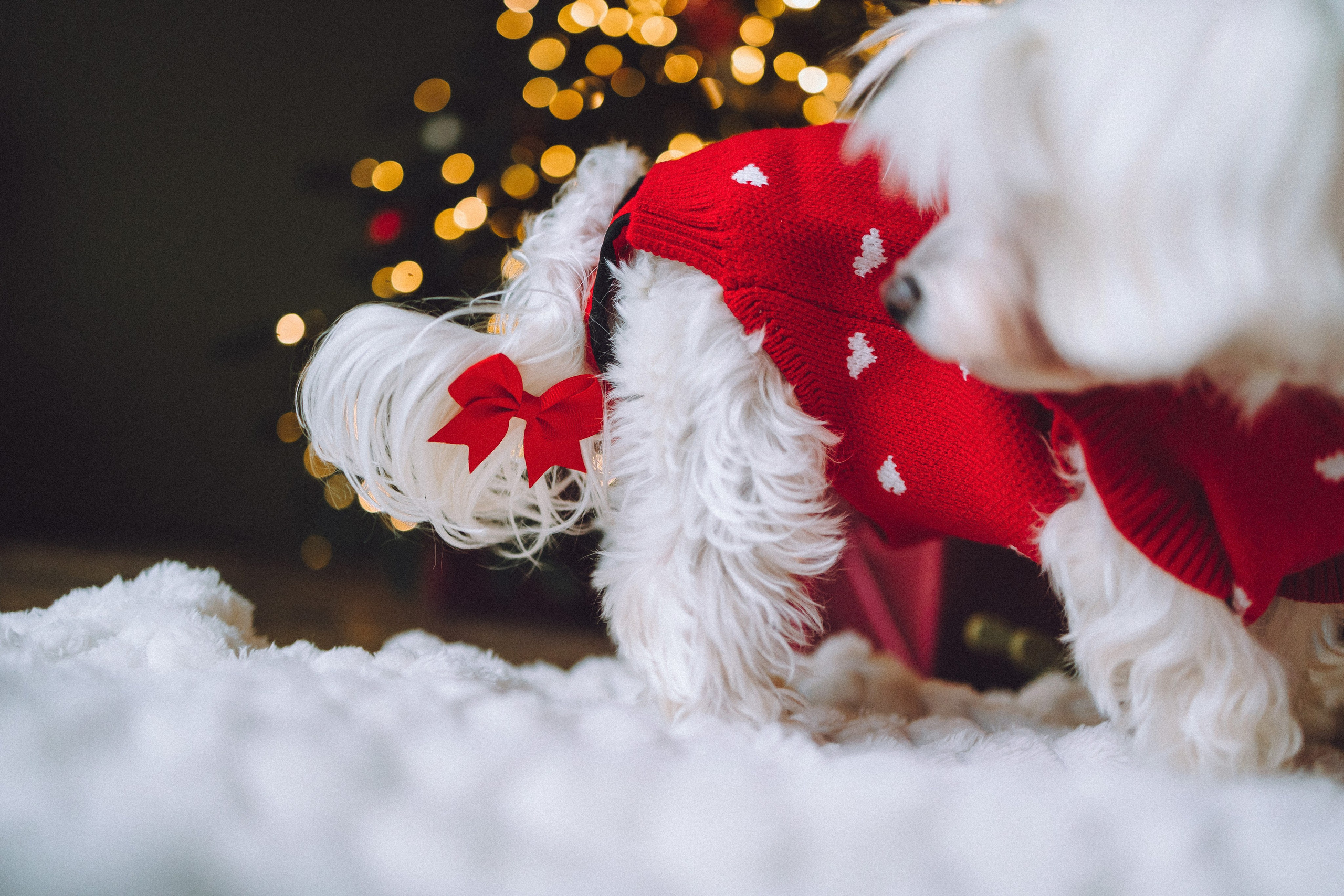 Констанция и Молли