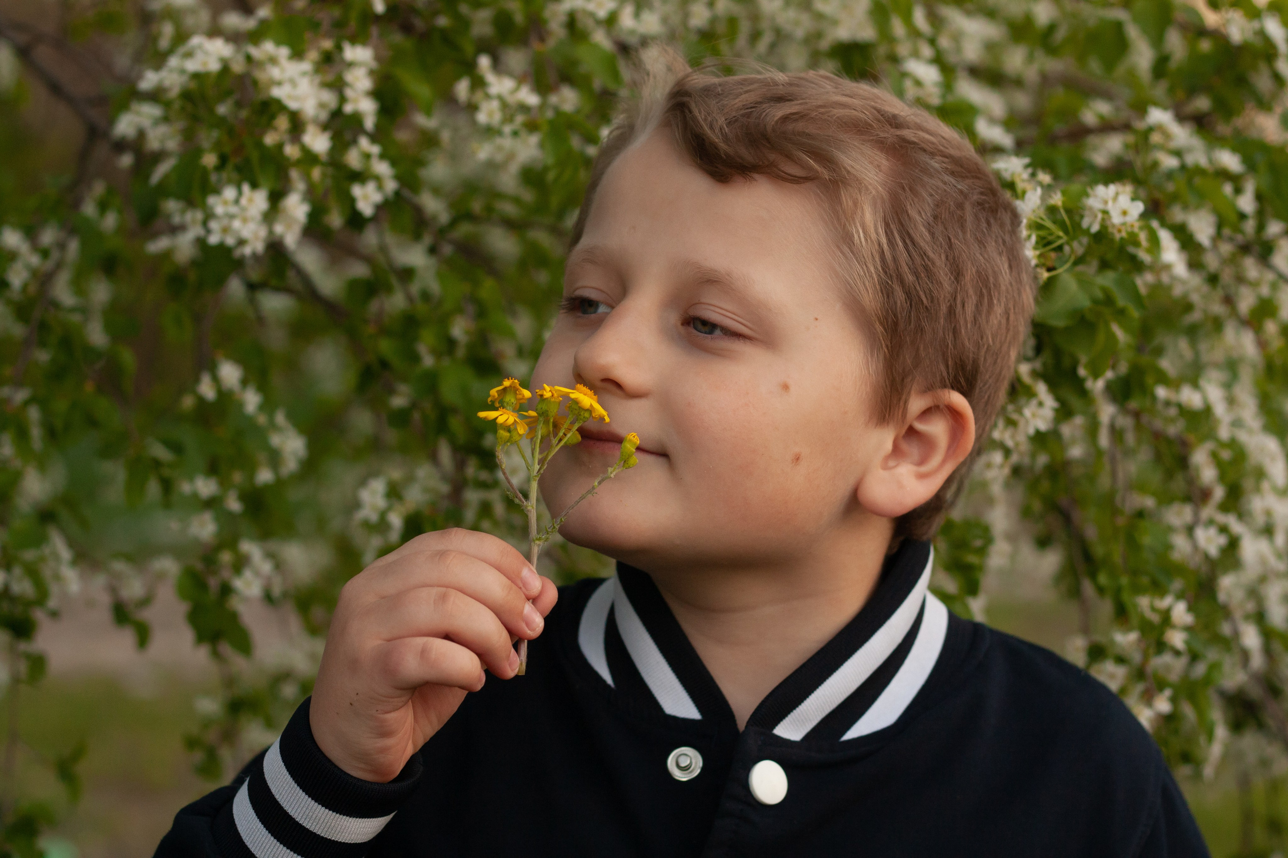 Семейная прогулка. Фотограф