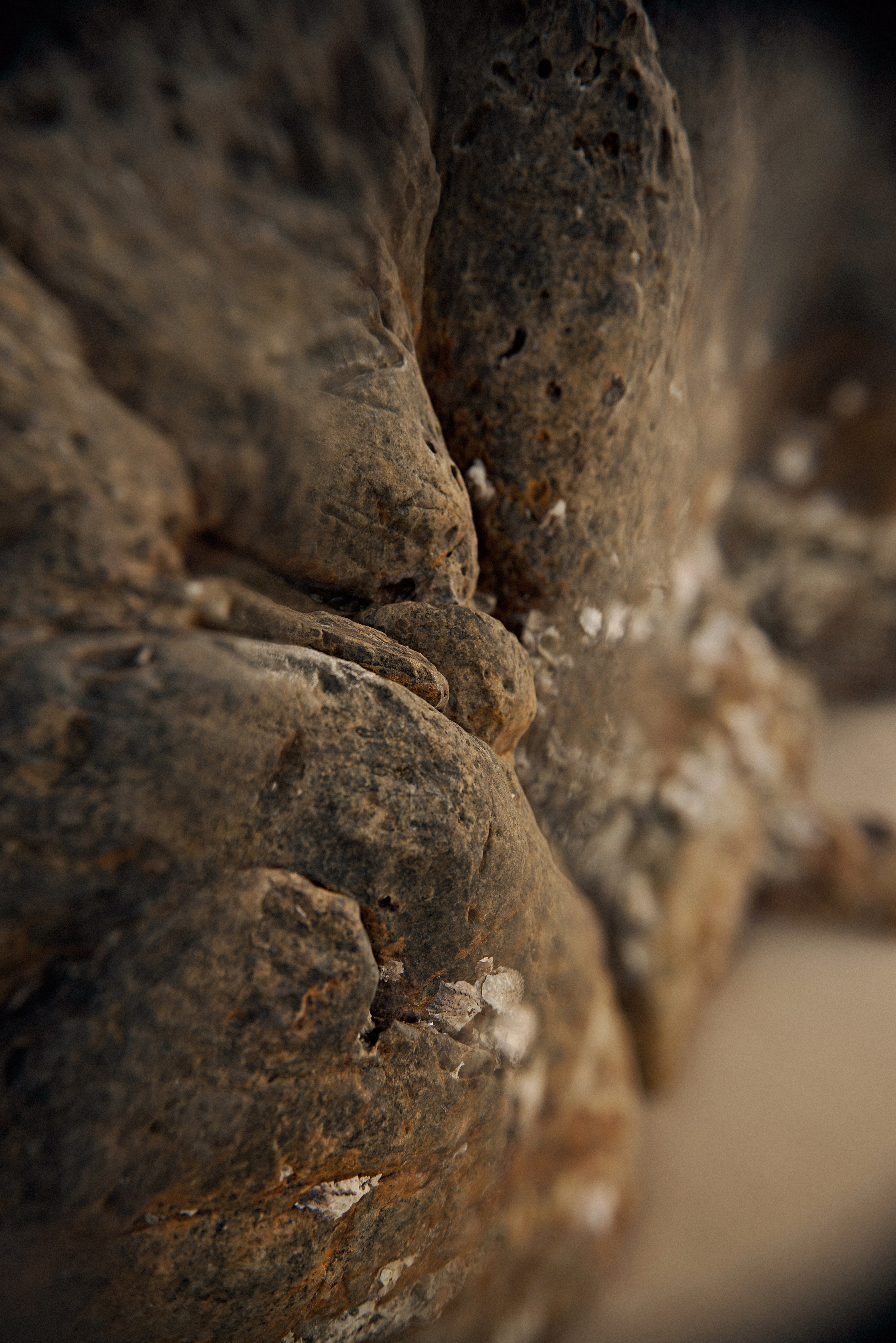 YANA. Свадебный фотограф Юлия Гусева