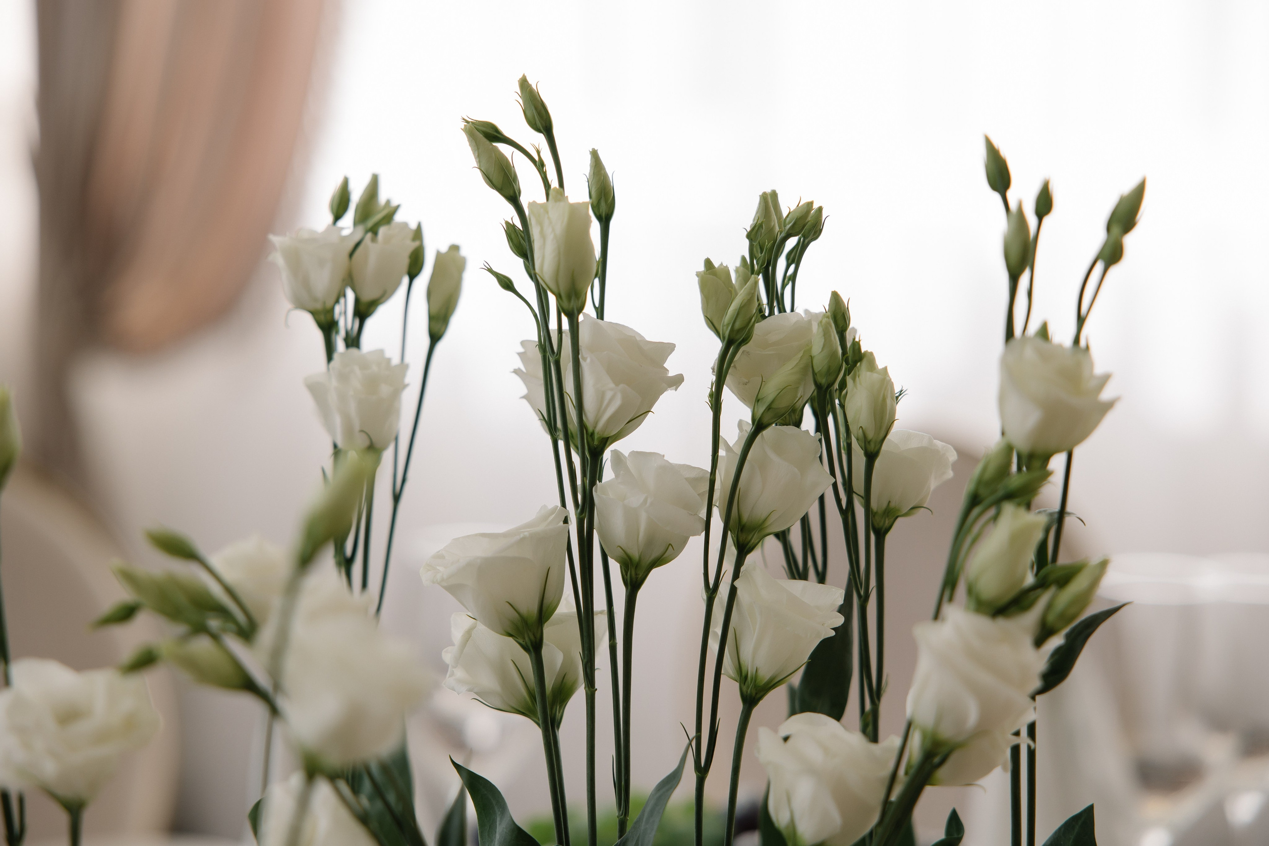 Тимур и Алия. Свадебный и семейный фотограф в Набережных Челнах и Казани