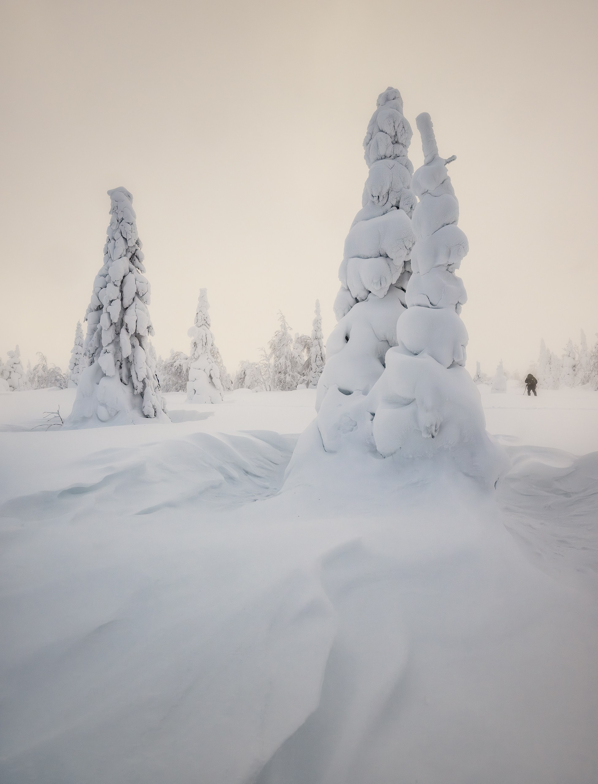 Главный Уральский Хребет. Россия, ⁨Главный Уральский хребет, Северный Урал, ⁨январь 2025 г.