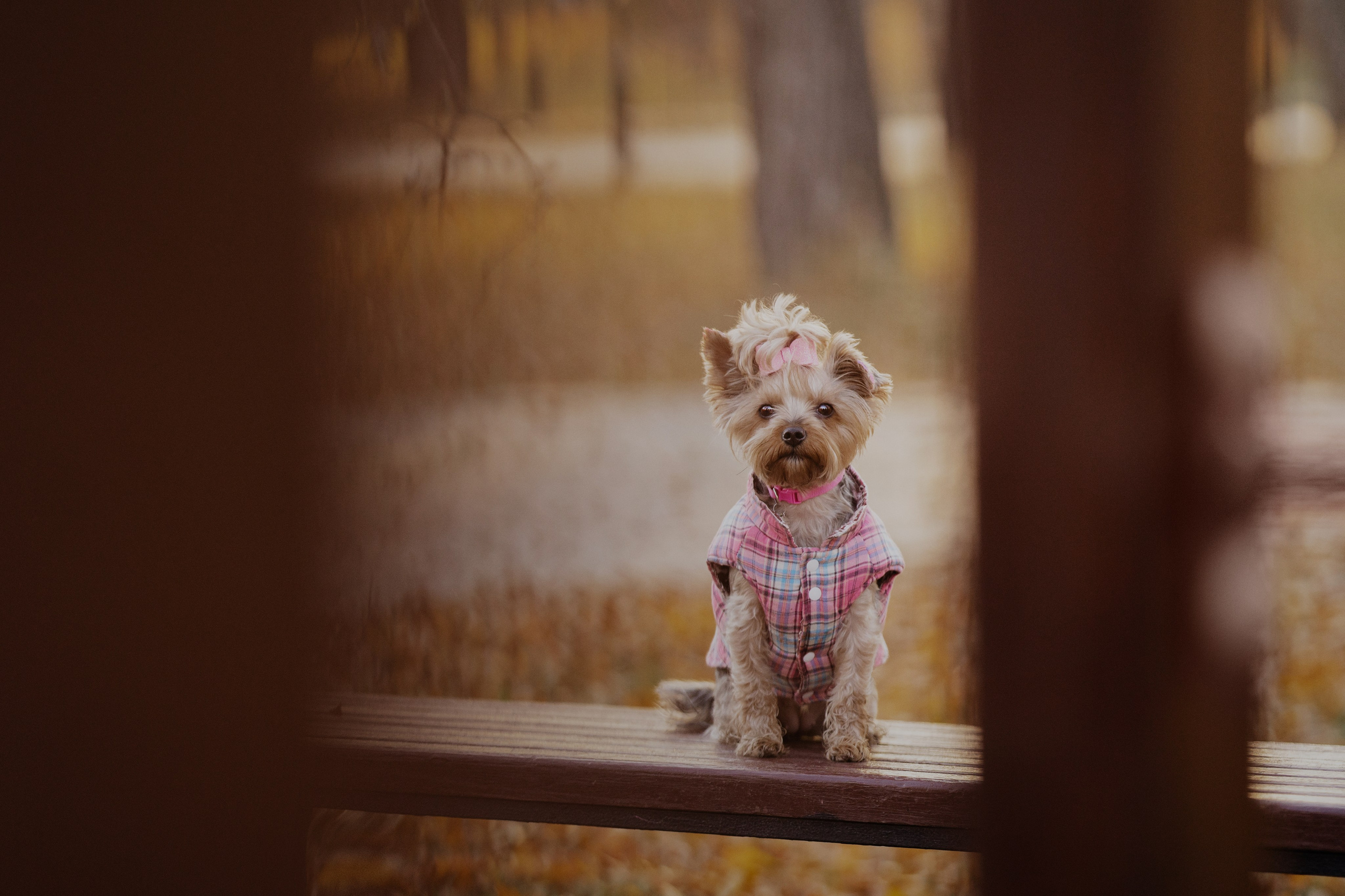 Мария + Роксана (история дружбы). Kameramotor74