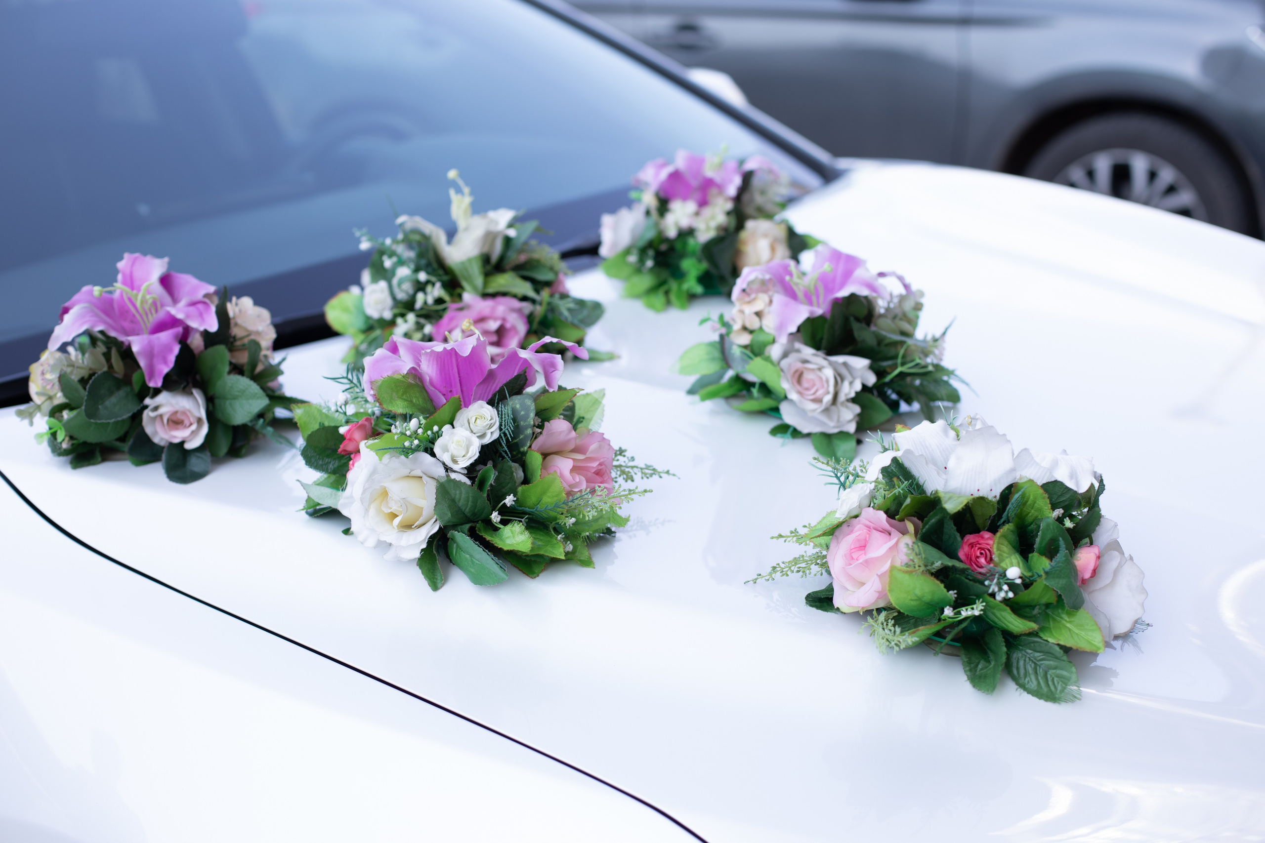 Репортажи. Свадьбы. Роспись в ЗАГСе. Фотограф Самара, Санкт-Петербург Татьяна Гузева. Женские портреты. Контент