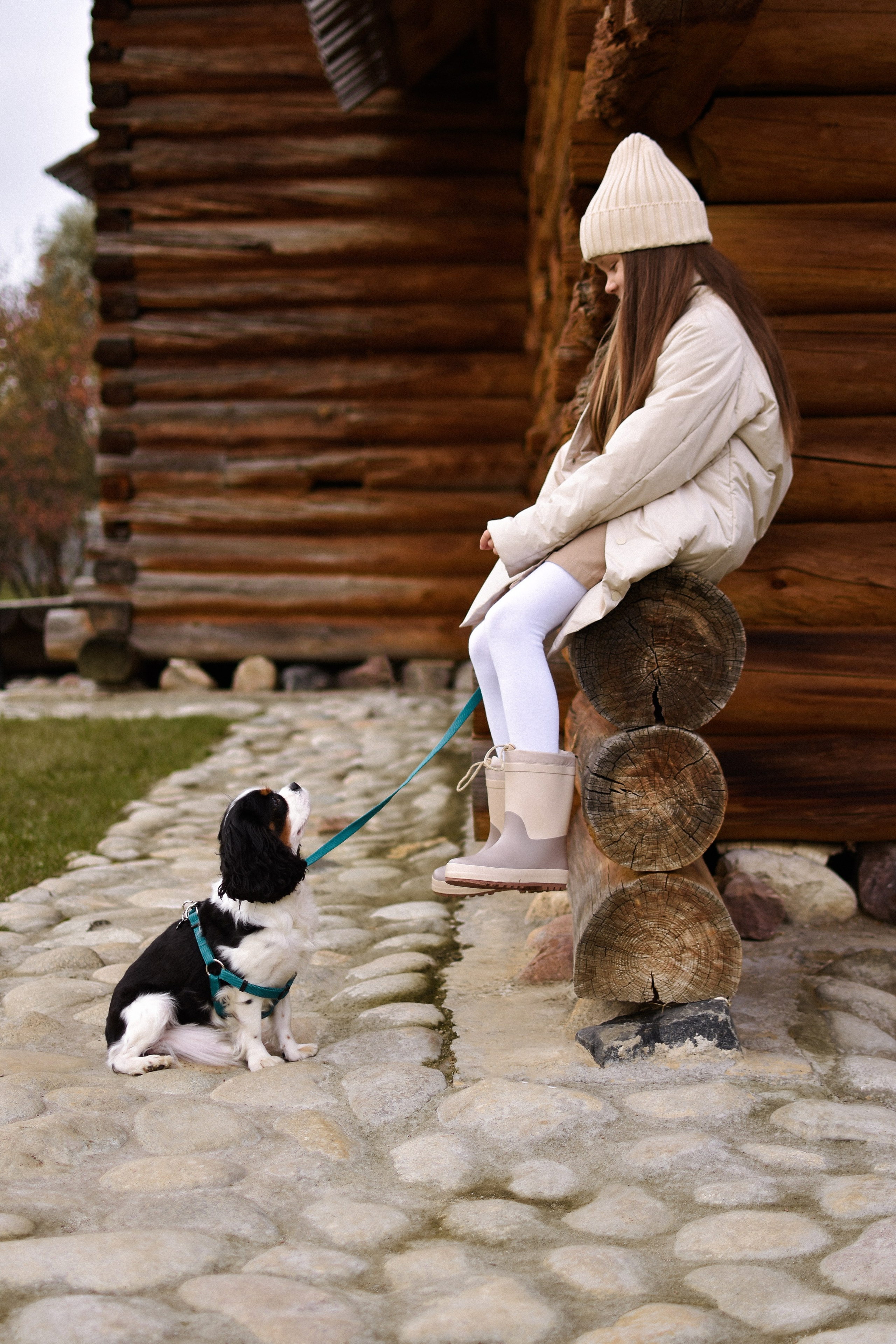 Молли, Кристина и Полина. Фотограф-анималист Ксения Шевцова|Москва