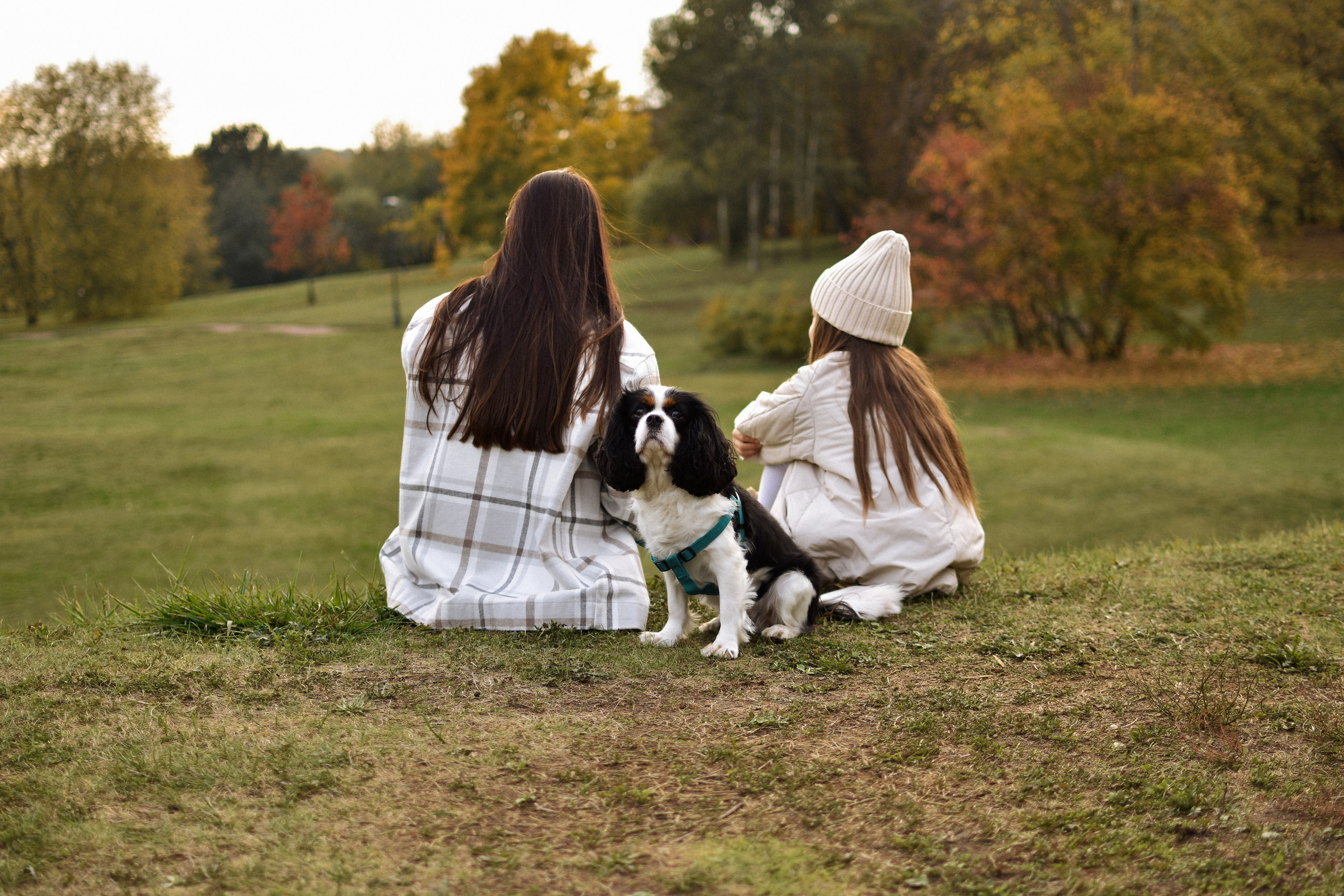 Молли, Кристина и Полина. Фотограф-анималист Ксения Шевцова|Москва