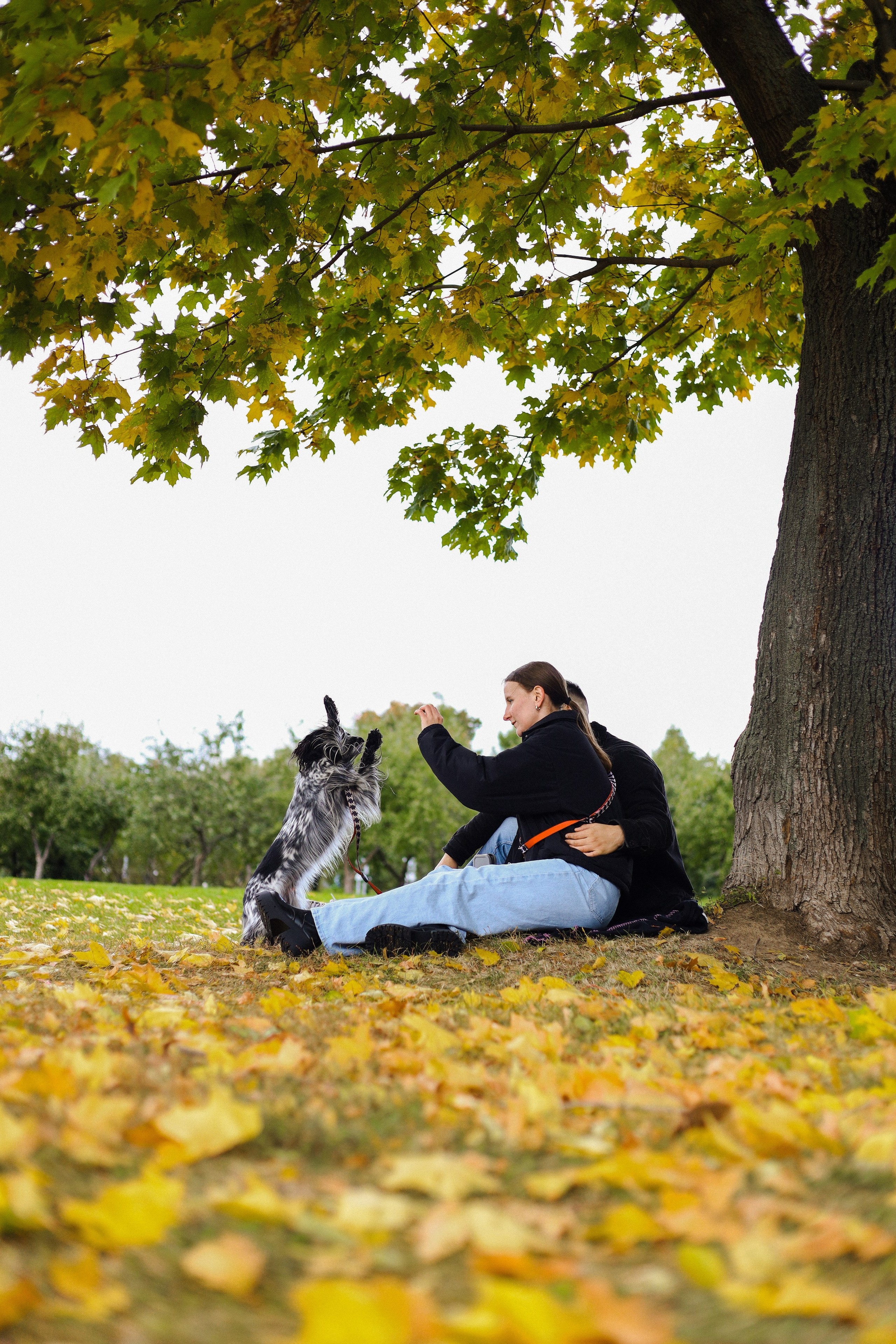 Милка, Вероника и Тимофей. Фотограф-анималист Ксения Шевцова|Москва