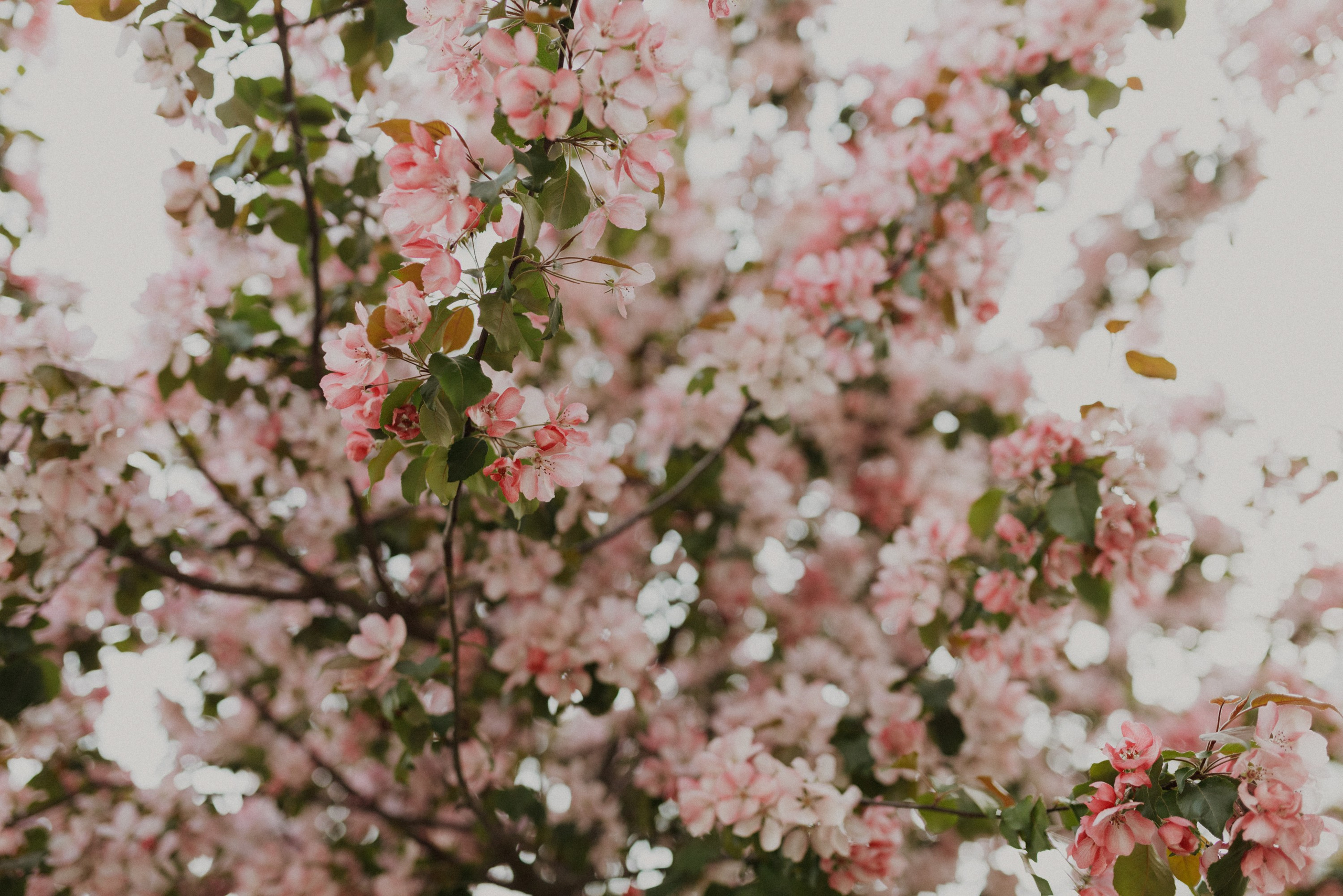Семейная фотосессия в подмосковье в Завидово Zavidovo Resort. Семейный фотограф Маша Тимофеева | Москва