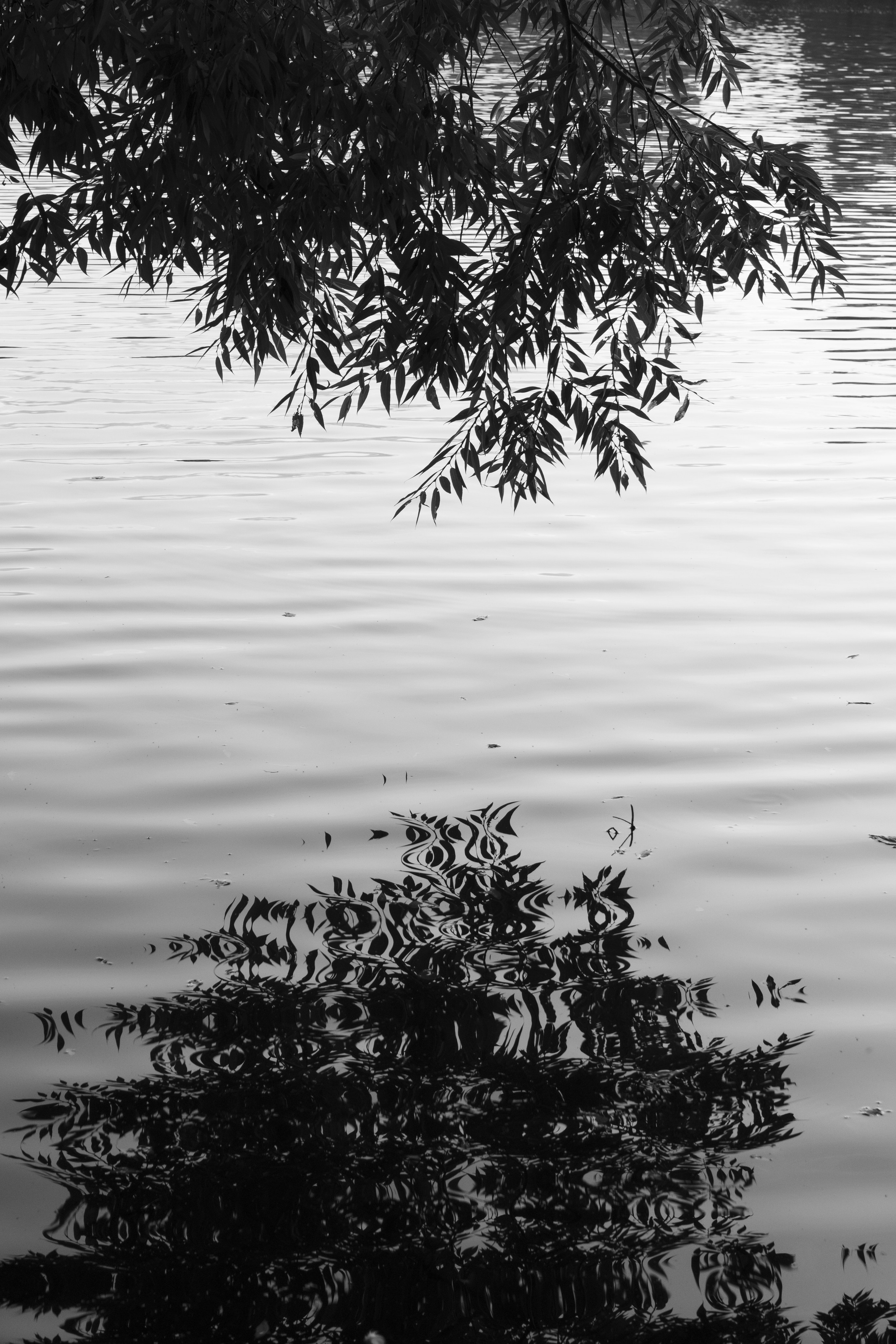 Прогулка по Екатеринбургу. Денис Марков — фотограф в Екатеринбурге