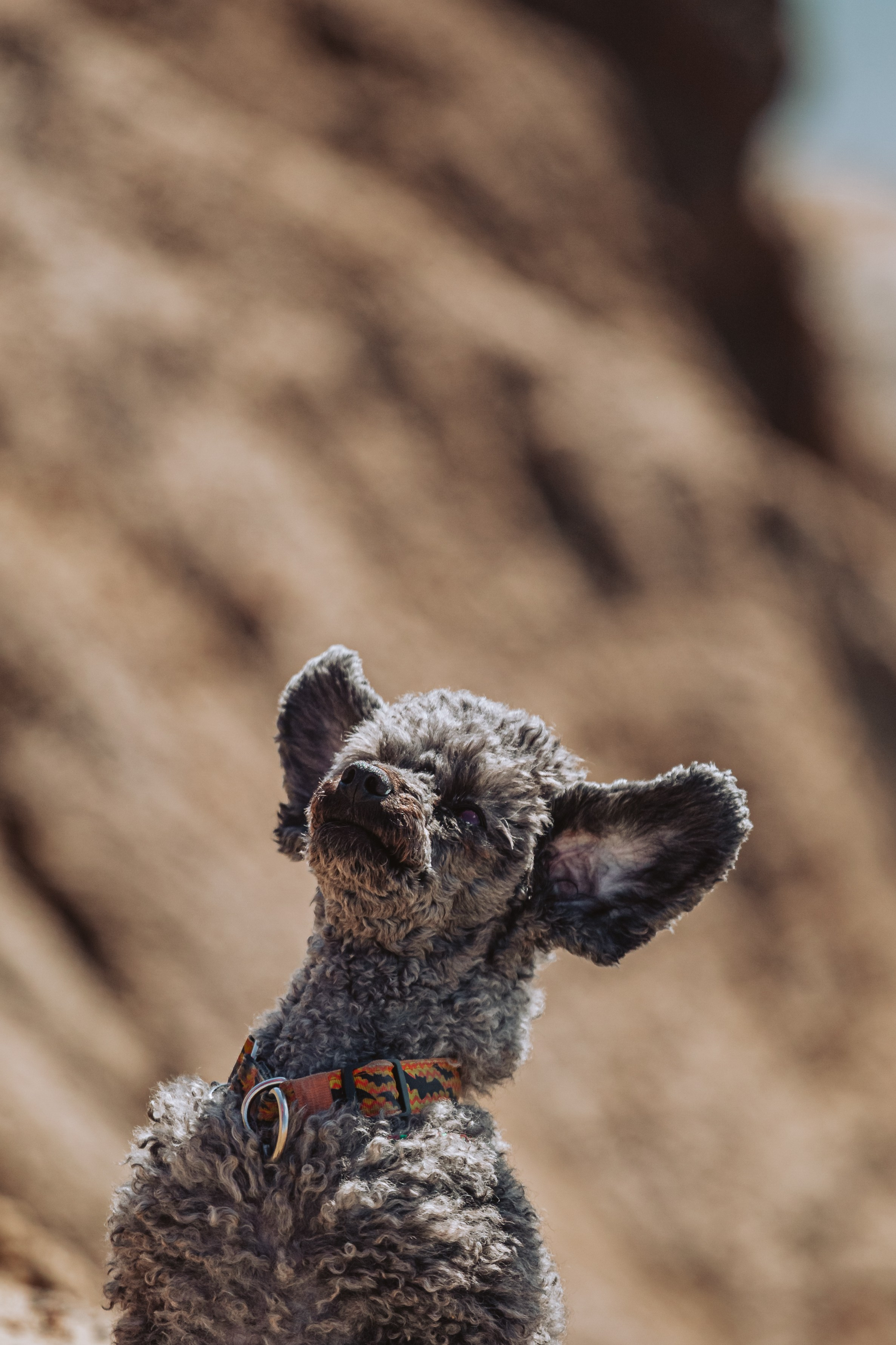 Кондуки. Фотограф-анималист Татьяна Степанова