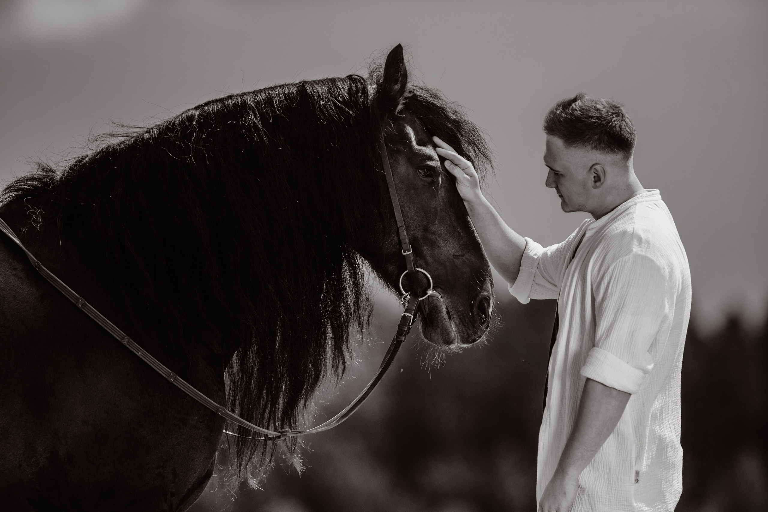 Лена, Серёжа, Петя и Брабус. Фотограф-анималист Ксендзова Кристина