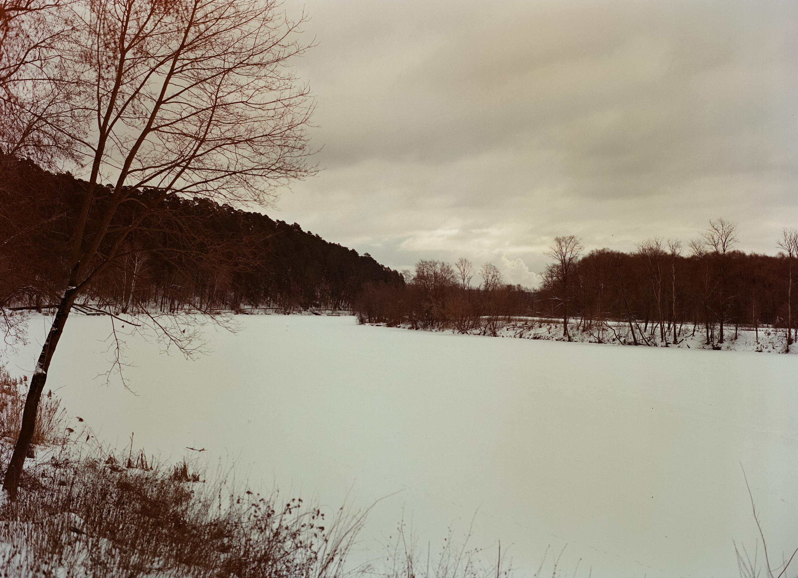 Mamiya-Sekor C 80mm f1.9