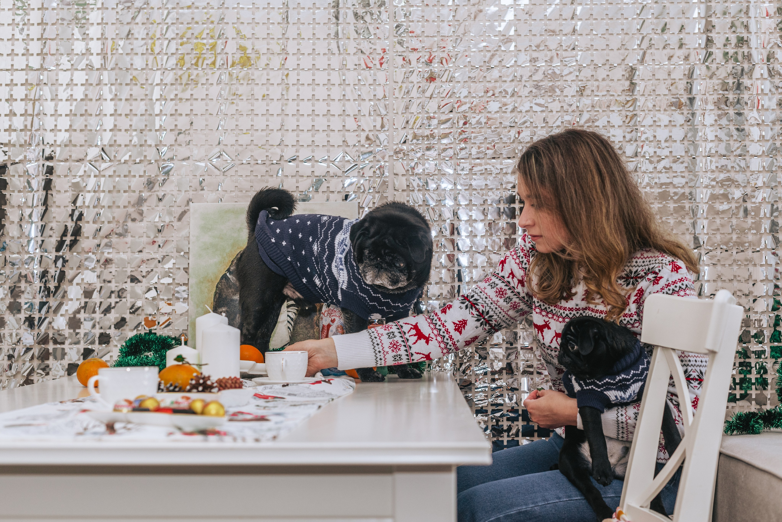 Домашняя фотосессия Оли и двух ее мопсов. Фотограф-анималист Татьяна Степанова