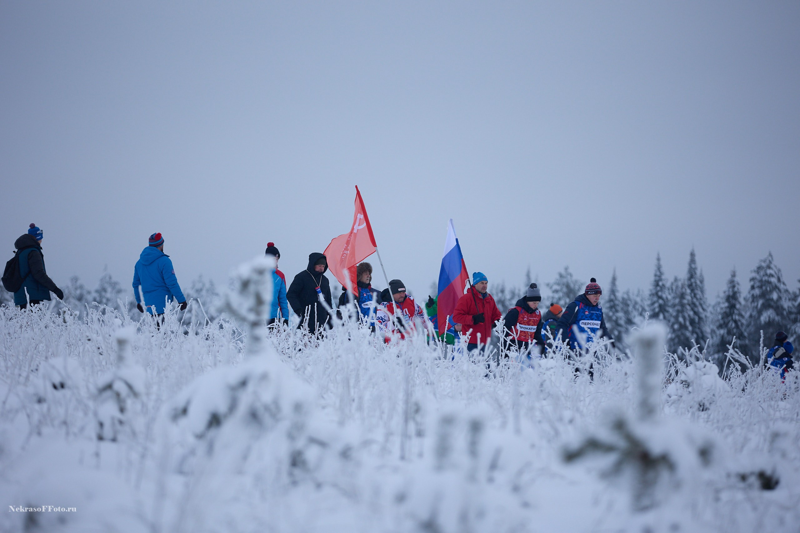 Кубок России по Лыжным гонкам. Спортивный фотограф Некрасов Денис