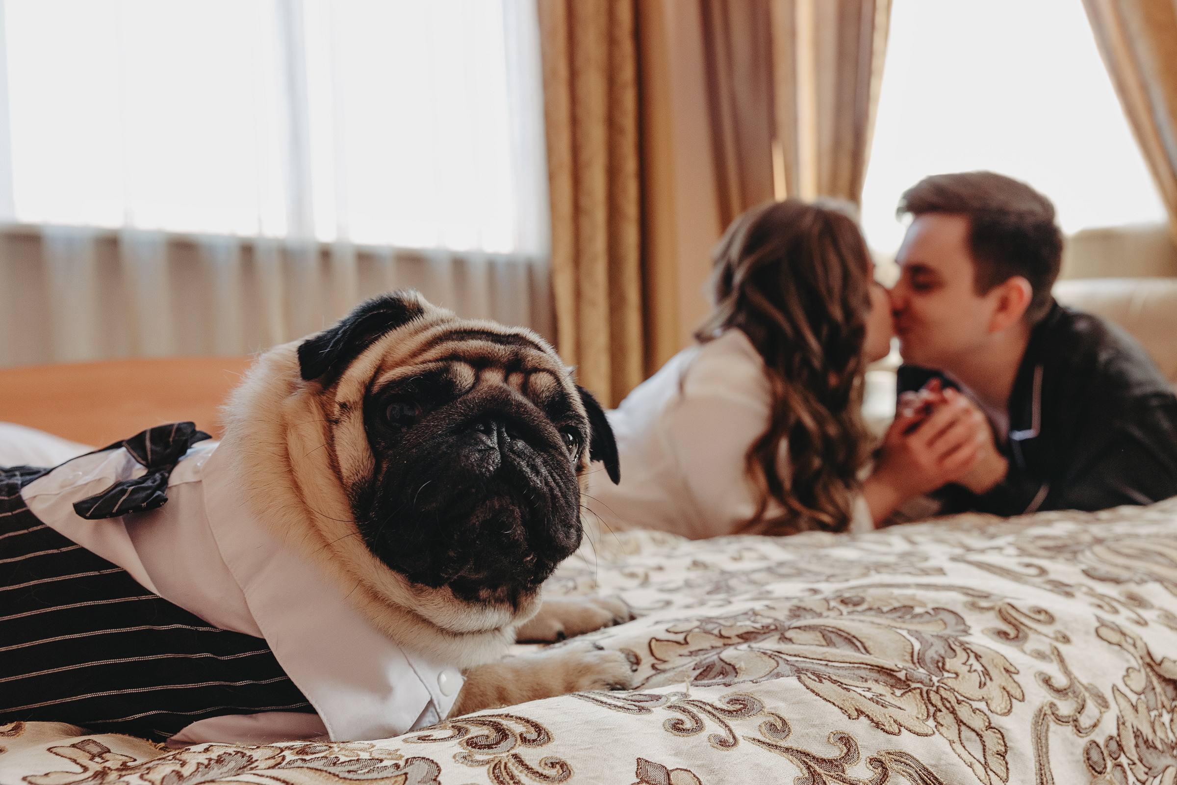 Саша и Катя. Свадебный фотограф и видеограф Дмитрий Горяченков