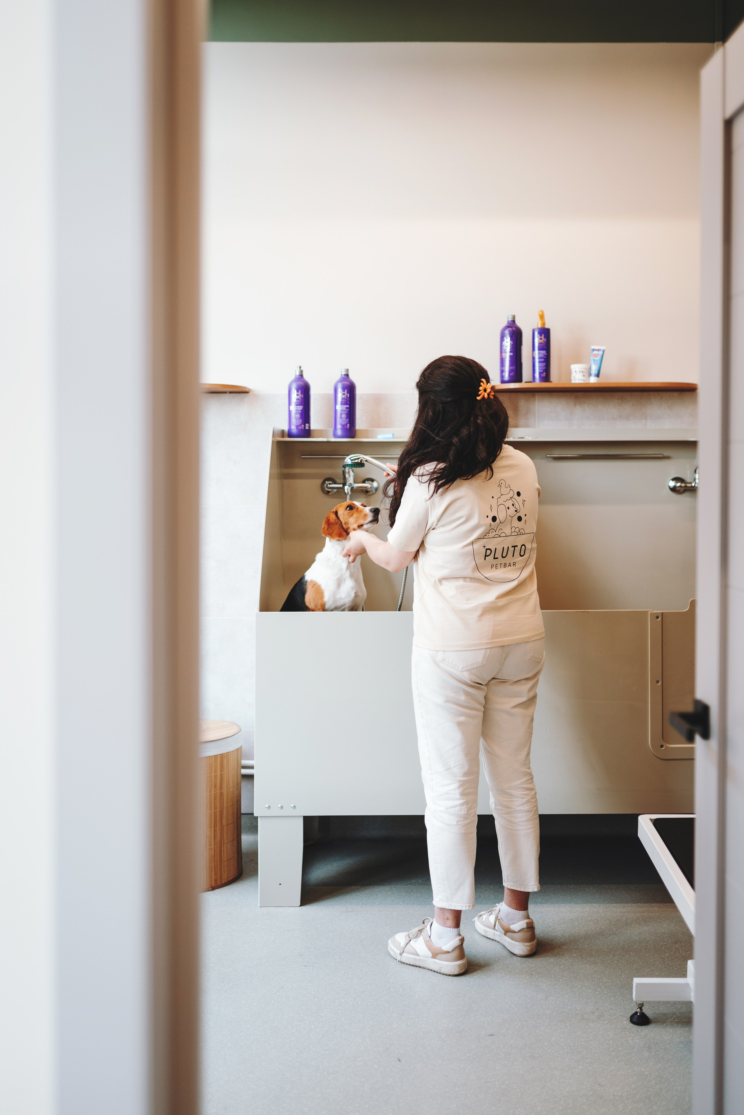 Груминг-салон. Фотограф анималист Осипчикова Мария