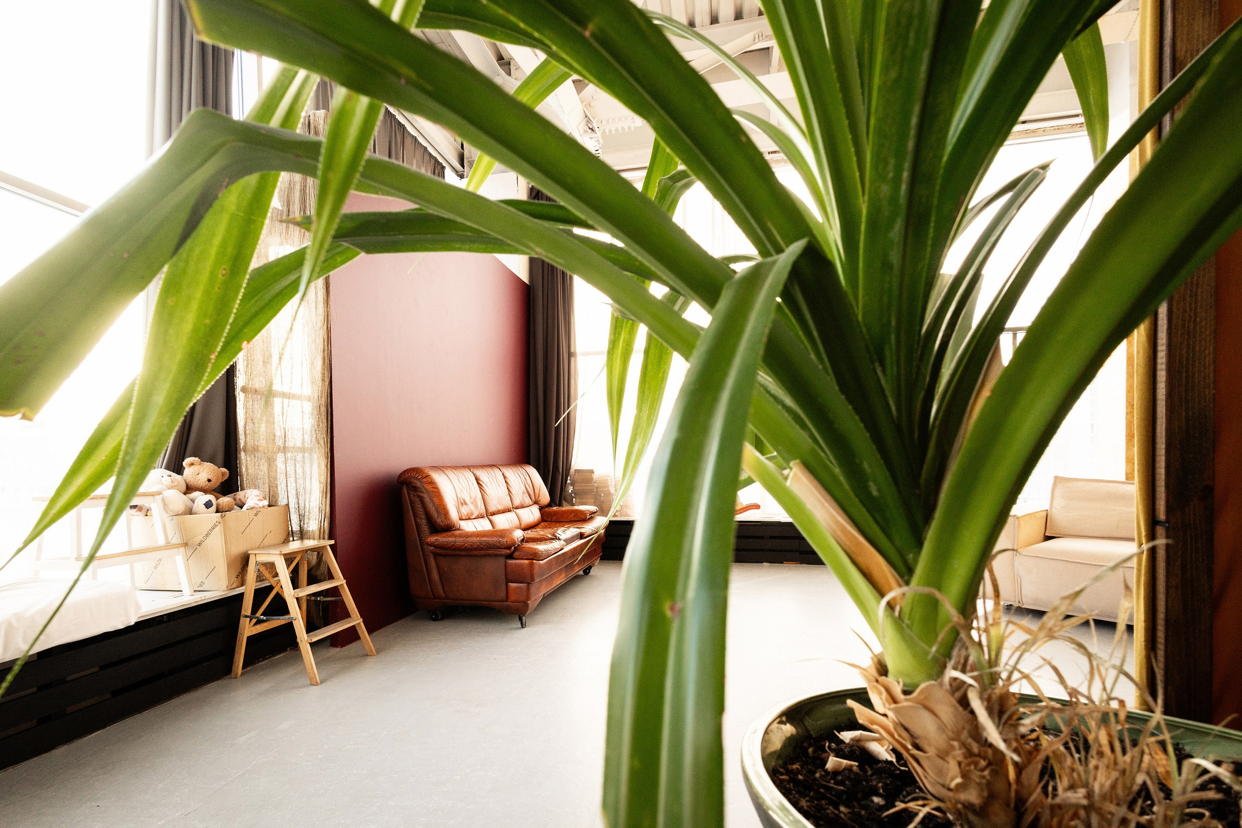 Фотостудия Питер в Сургуте для семейных и индивидуальных фотосессий