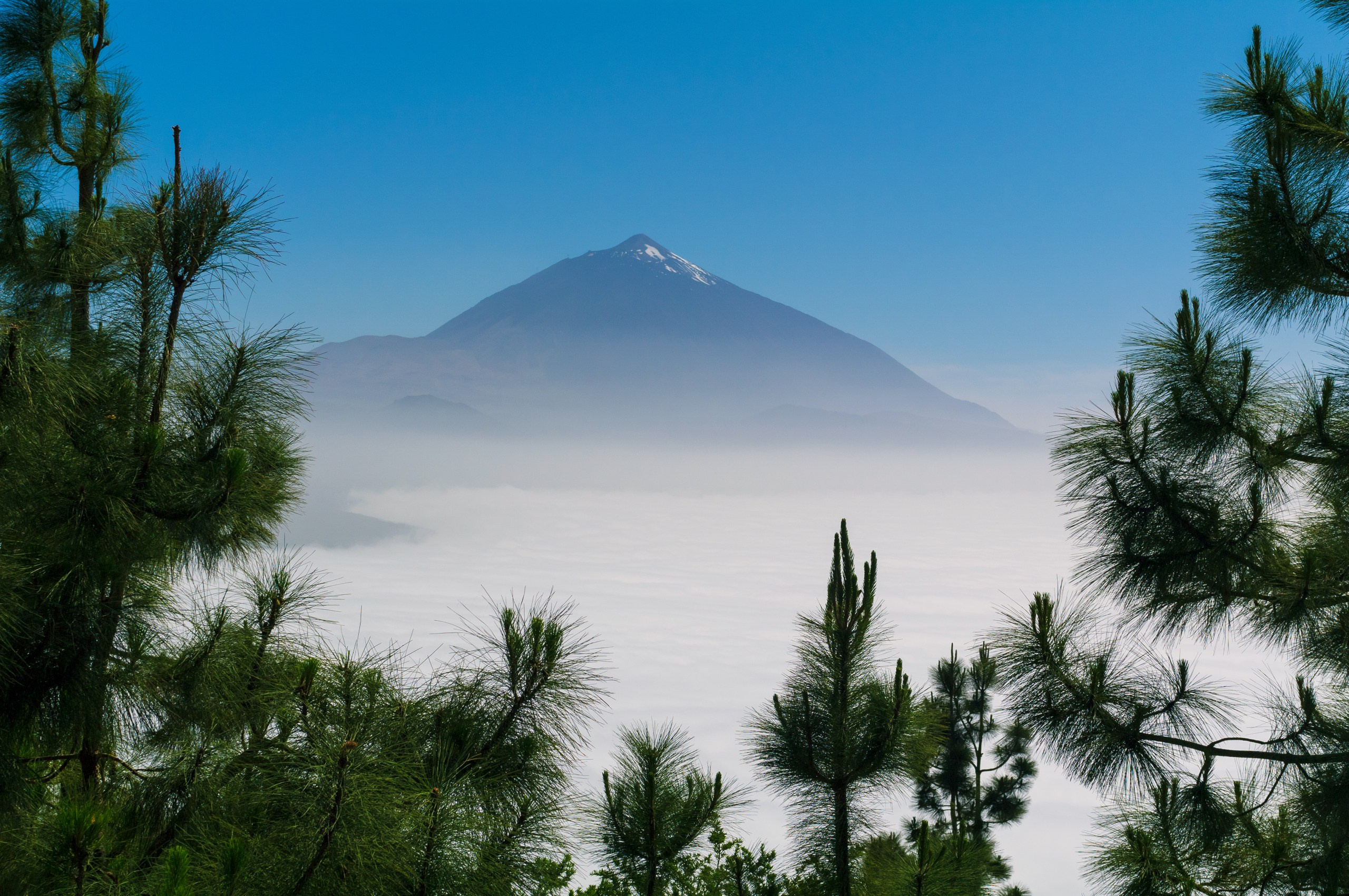 Авторские стильные фотокартины