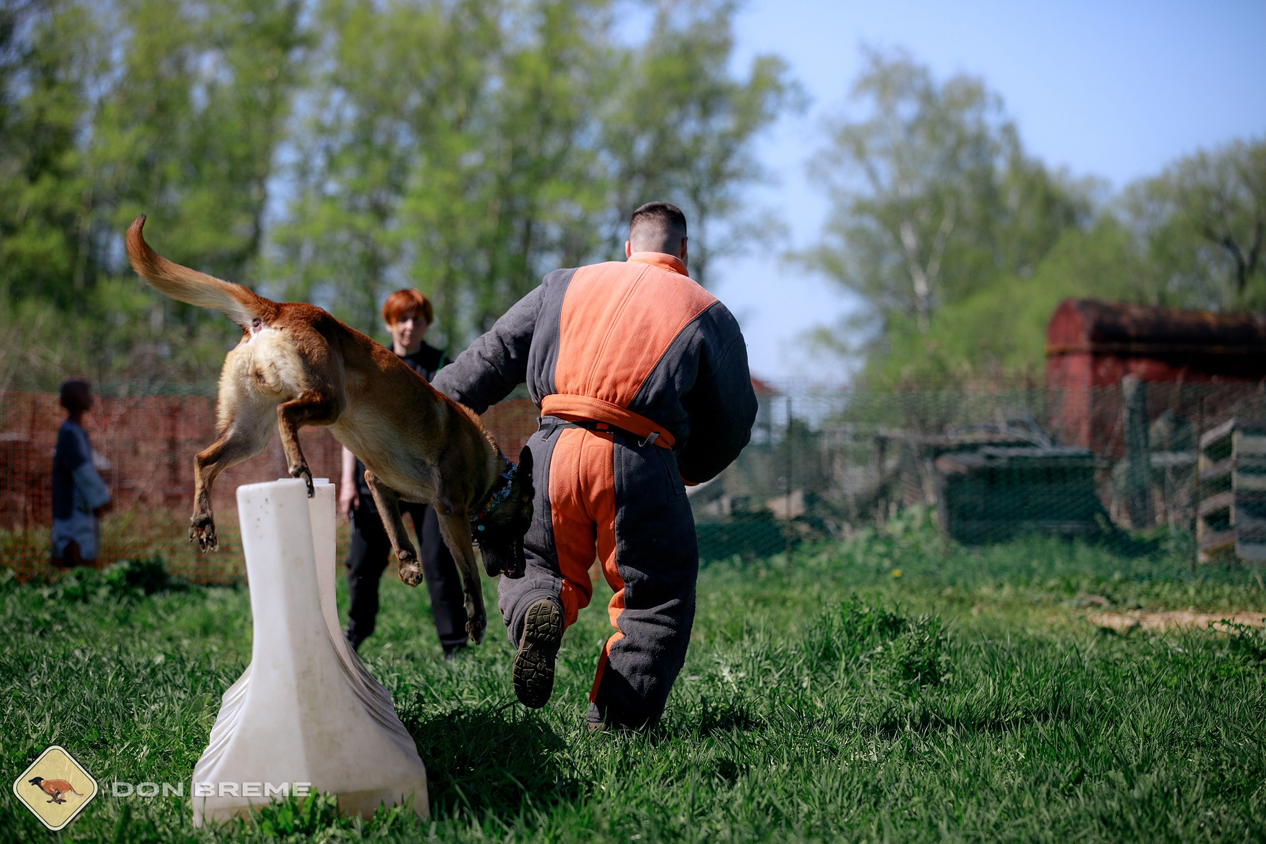 Семинар для фигурантов, день 3. Фотограф-анималист Mary Mart — Москва, Питер