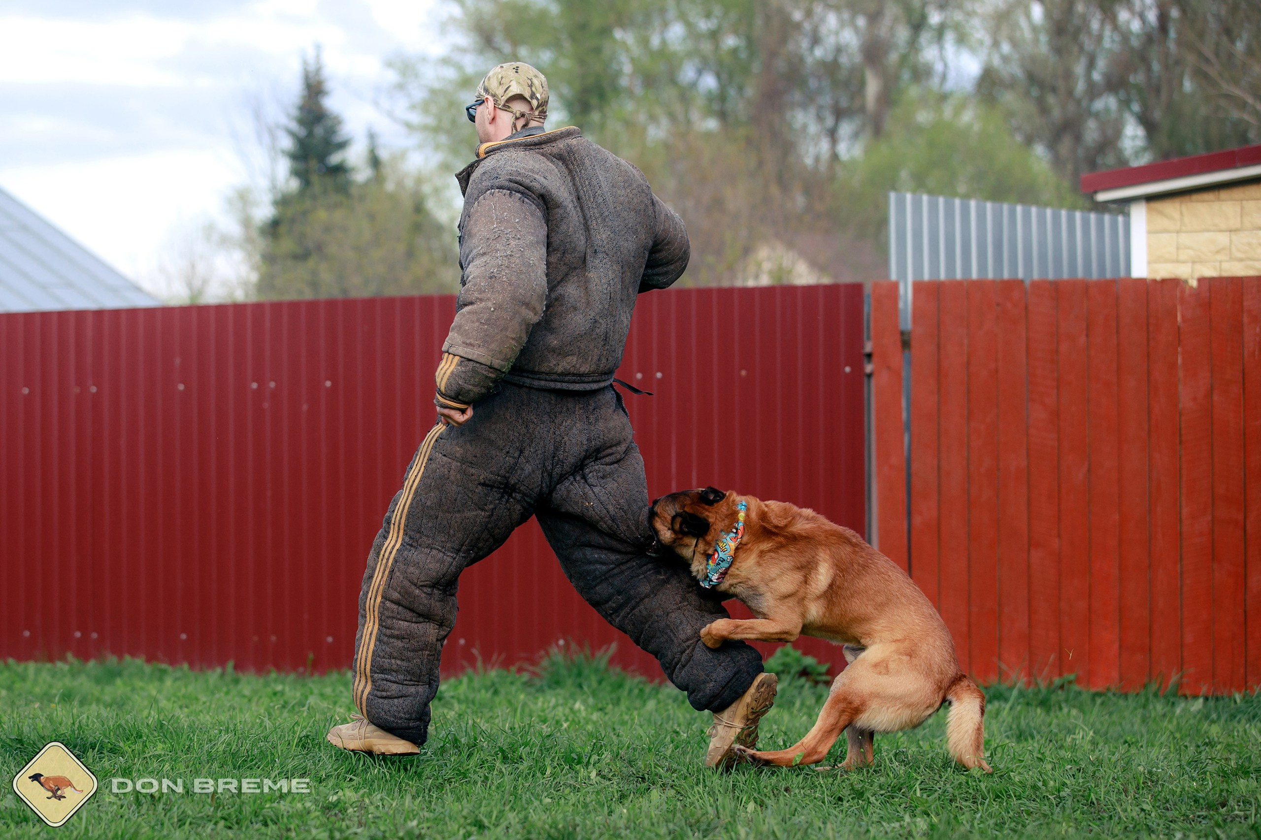 Семинар для фигурантов, день 2. Фотограф-анималист Mary Mart — Москва, Питер