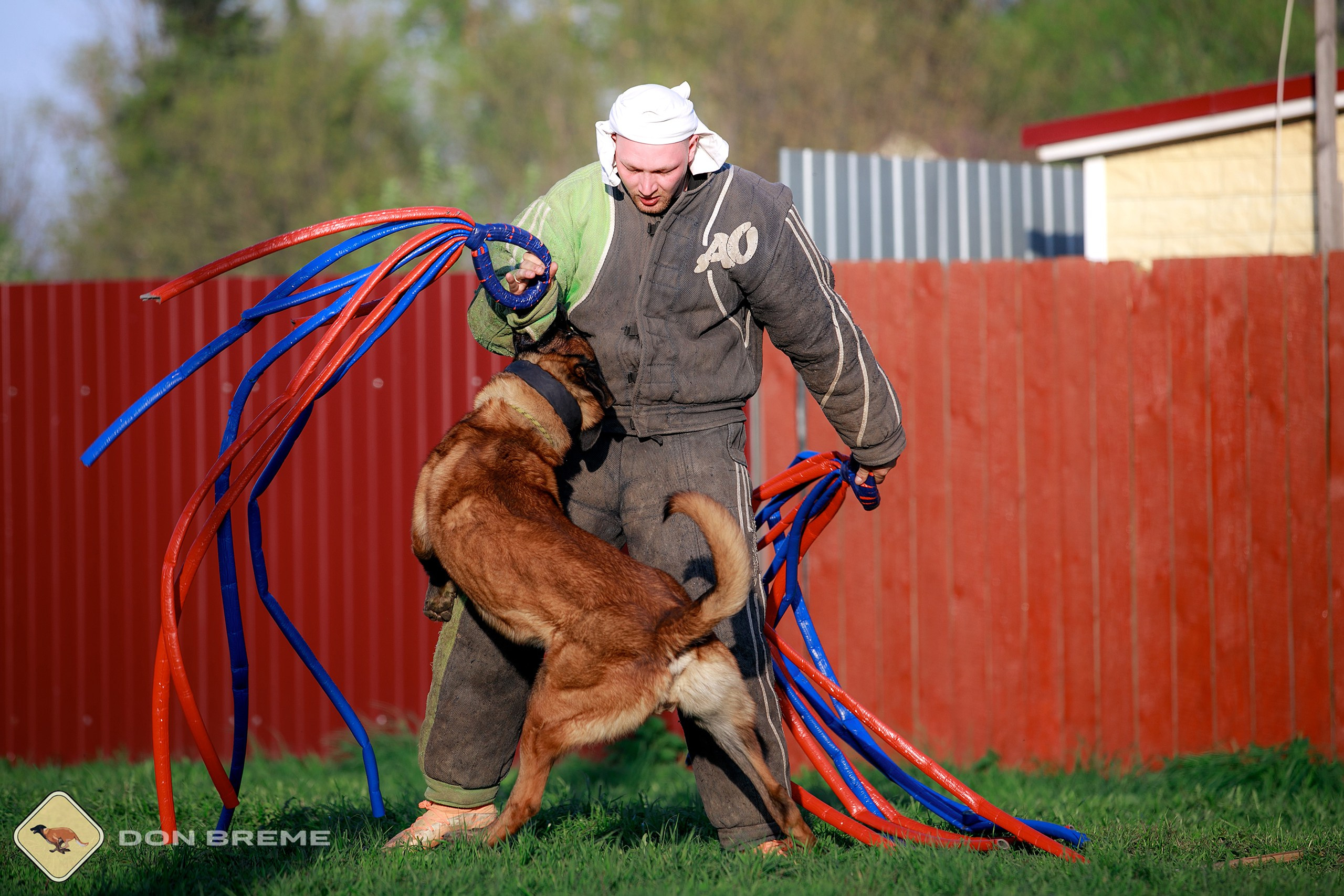 Семинар для фигурантов, день 4. Фотограф-анималист Mary Mart — Москва, Питер