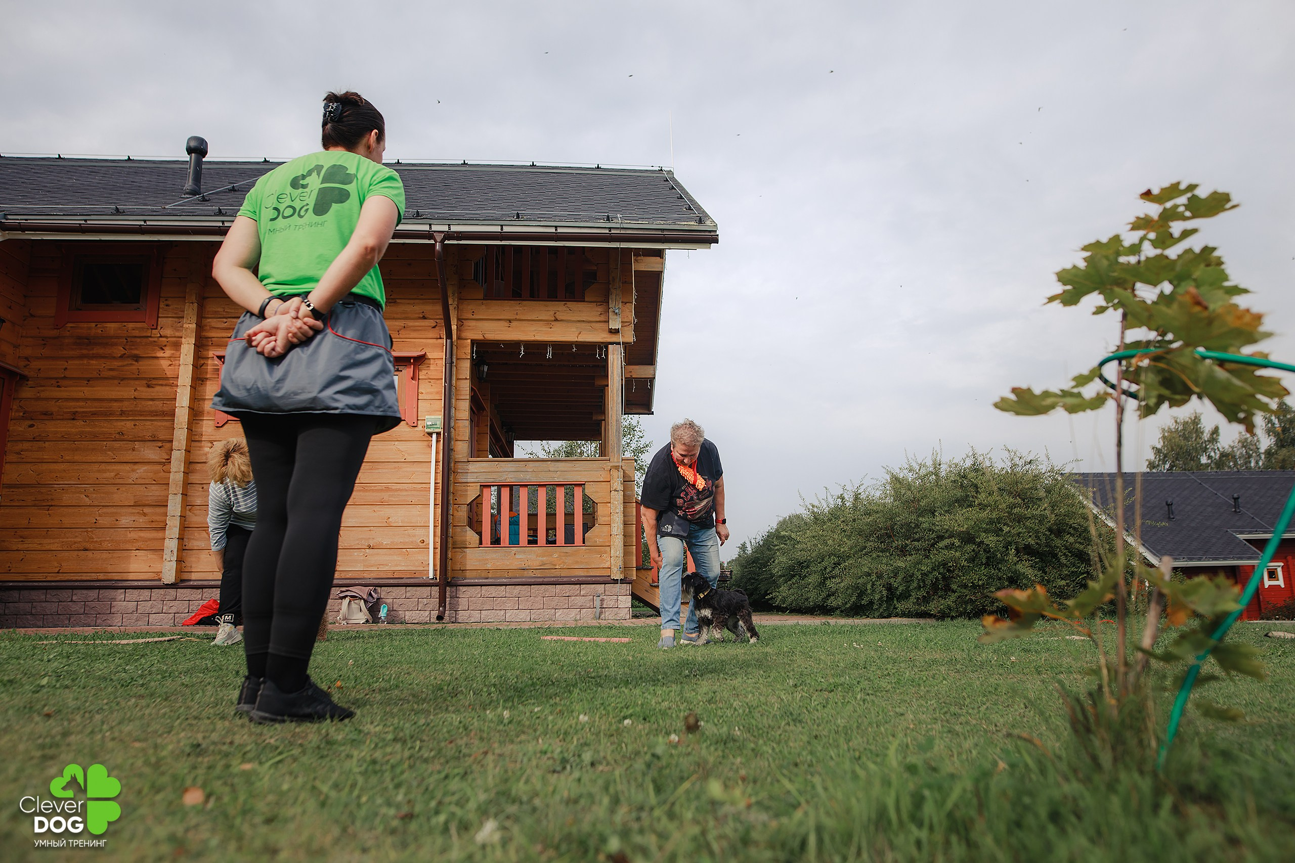 Кинологический лагерь CleverDog, 2024. Фотограф-анималист Mary Mart — Москва, Питер