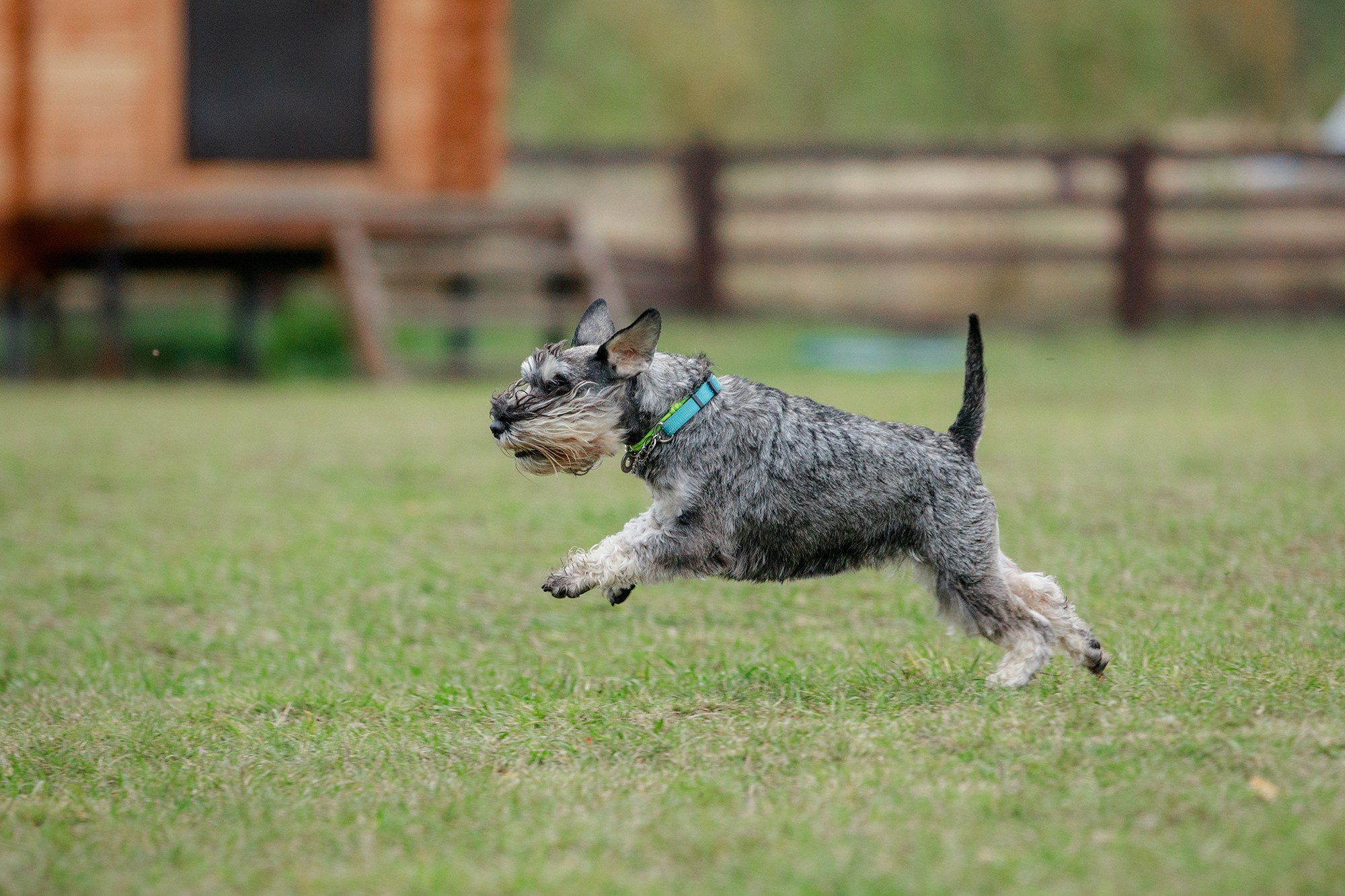 Лагерь по ОБД с Инной Баженовой. Фотограф-анималист Mary Mart — Москва, Питер