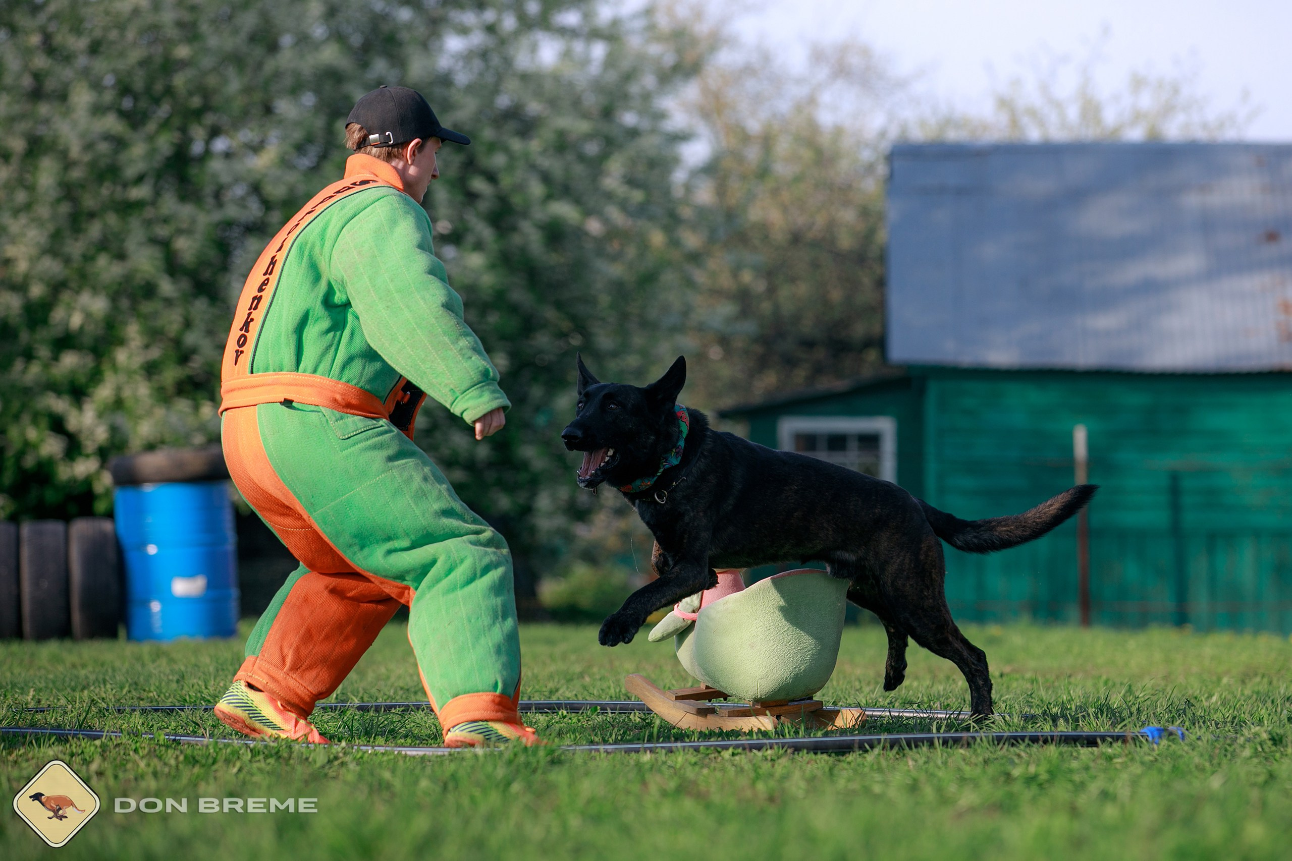 Семинар для фигурантов, день 4. Фотограф-анималист Mary Mart — Москва, Питер
