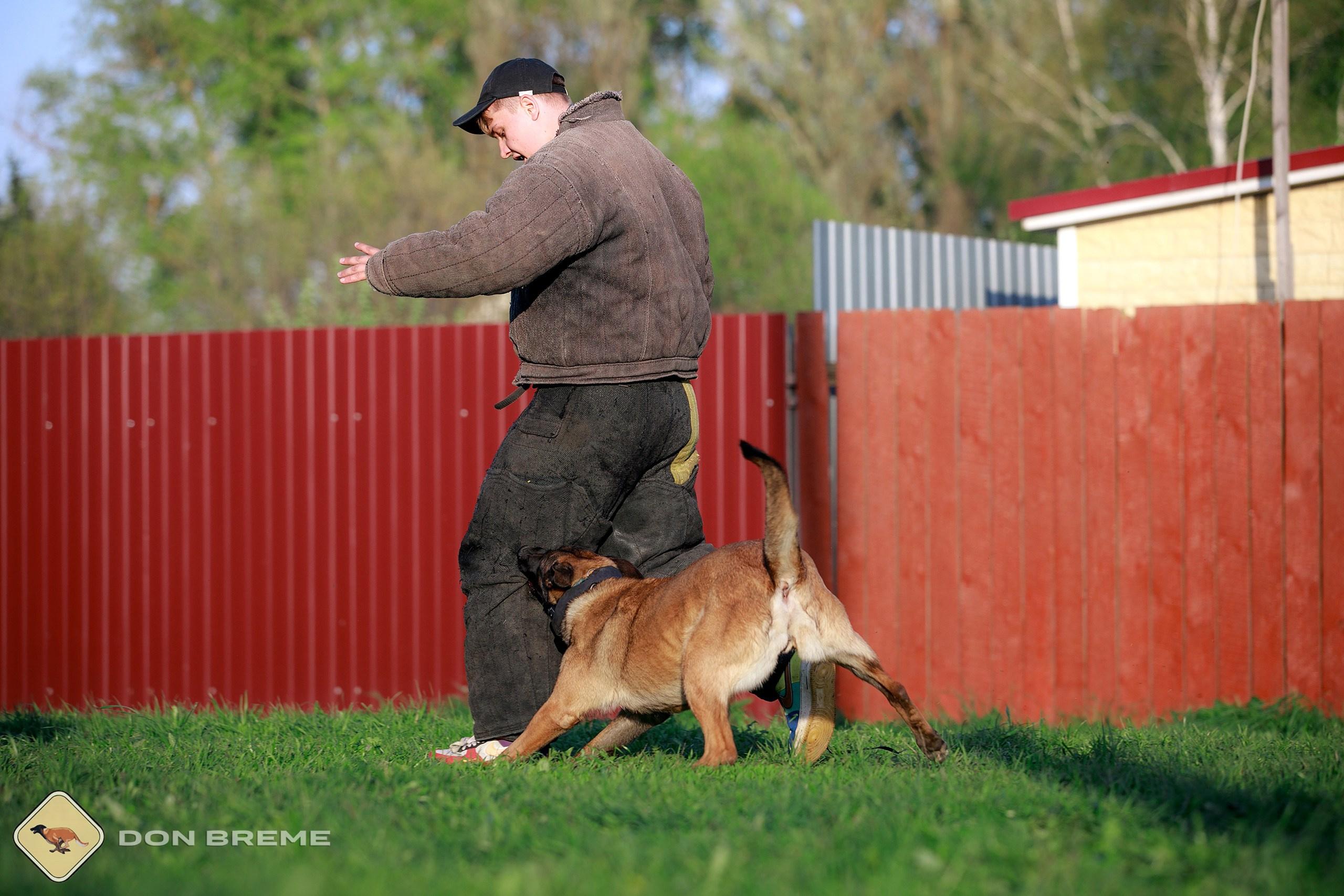 Семинар для фигурантов, день 4. Фотограф-анималист Mary Mart — Москва, Питер