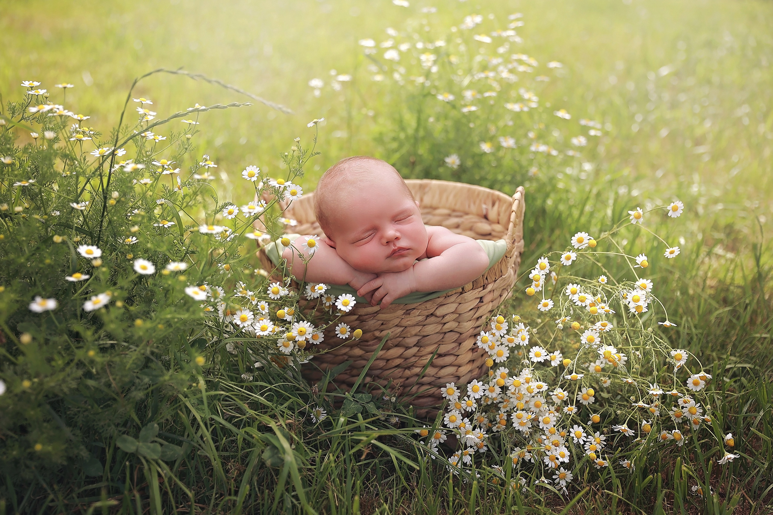 Фотограф новорожденных в сочи, фотосессии новорожденных сочи, малыши сочи, беременность в сочи, newborn в сочи. Фотограф новорожденных в Сочи