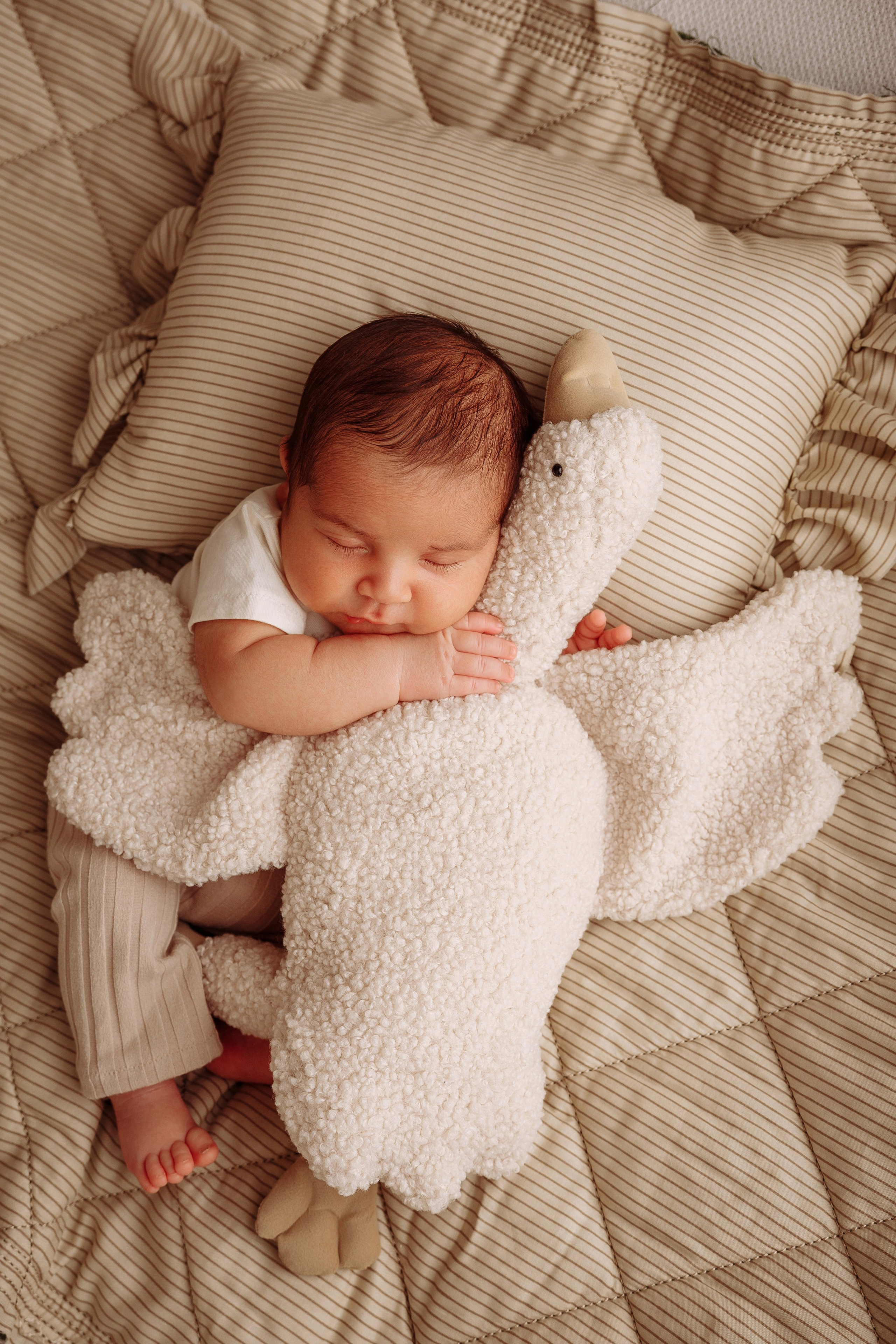 Лео. Фотограф новорожденных Тверь Диана Муляева