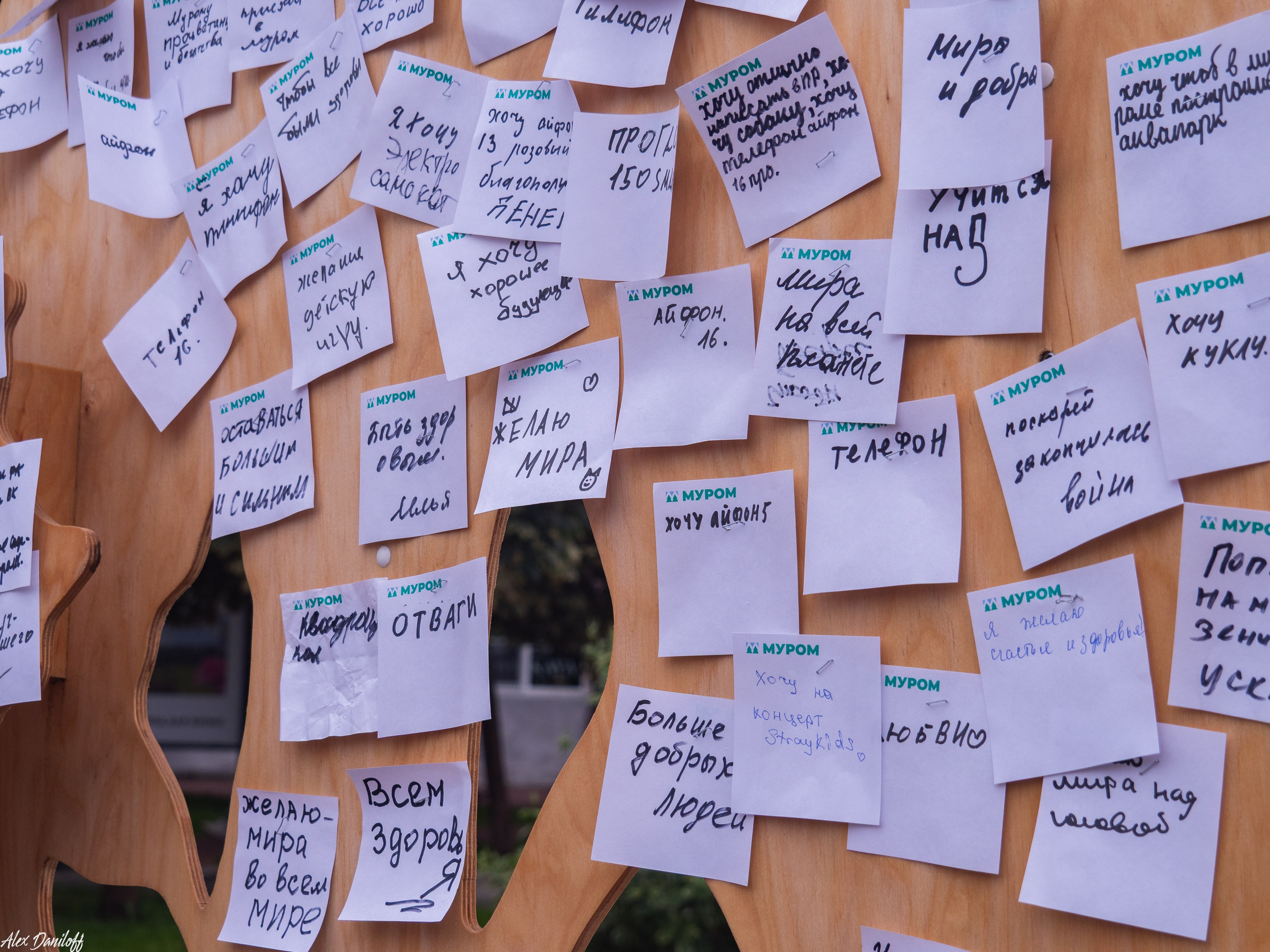 День города Муром 2025. Муром-Инфо. Новости культуры, образования, спорта в городе Муром