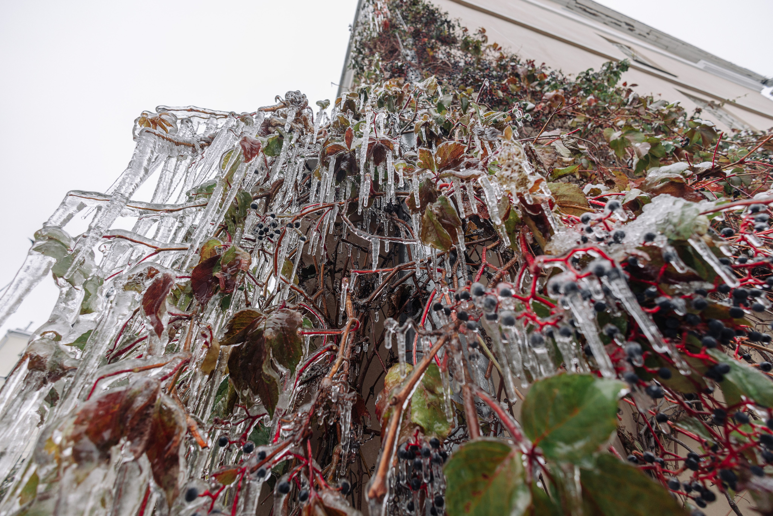 Фотограф — Евгений Свистков