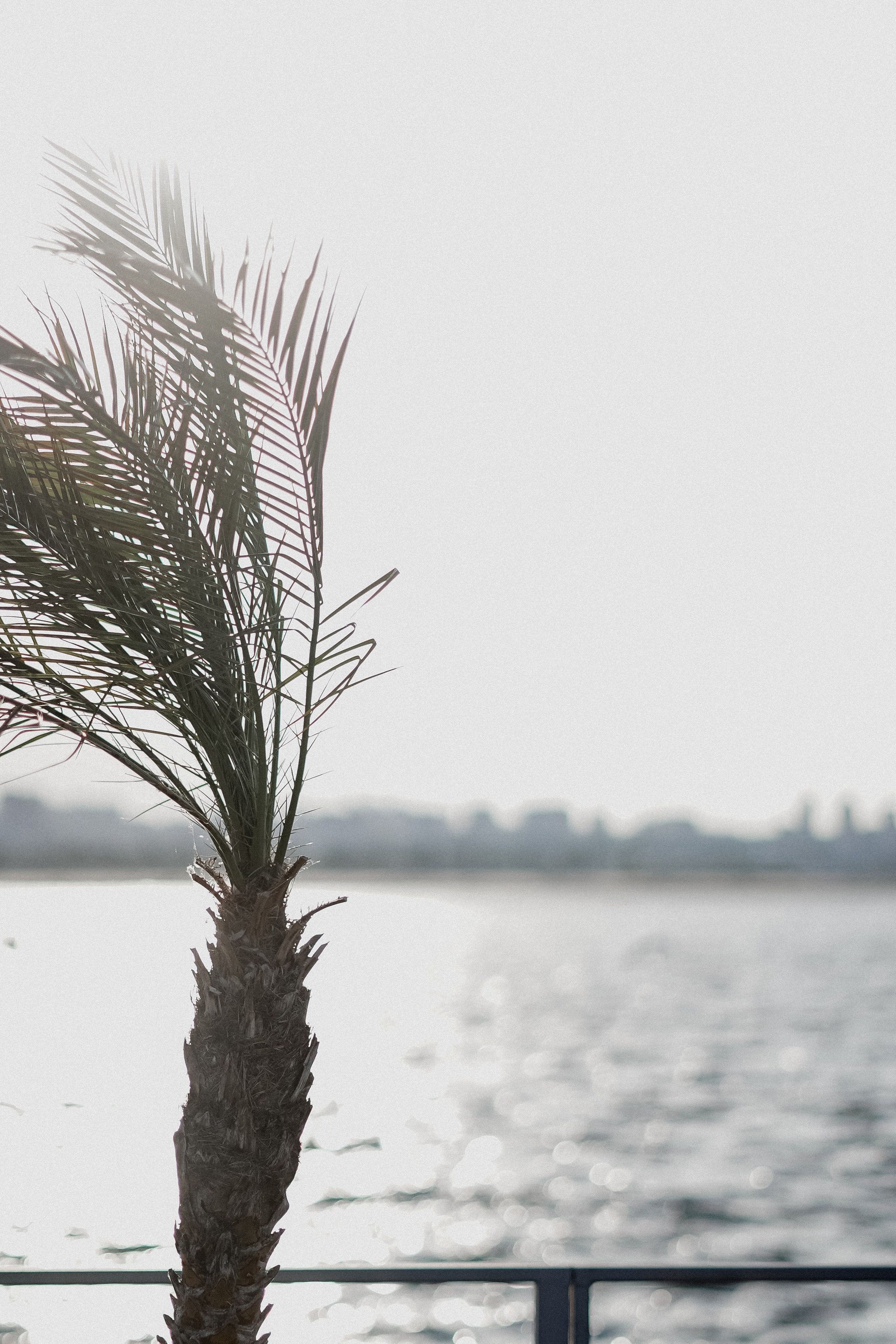 Мокровы. Фотограф Валерия Крахмалева