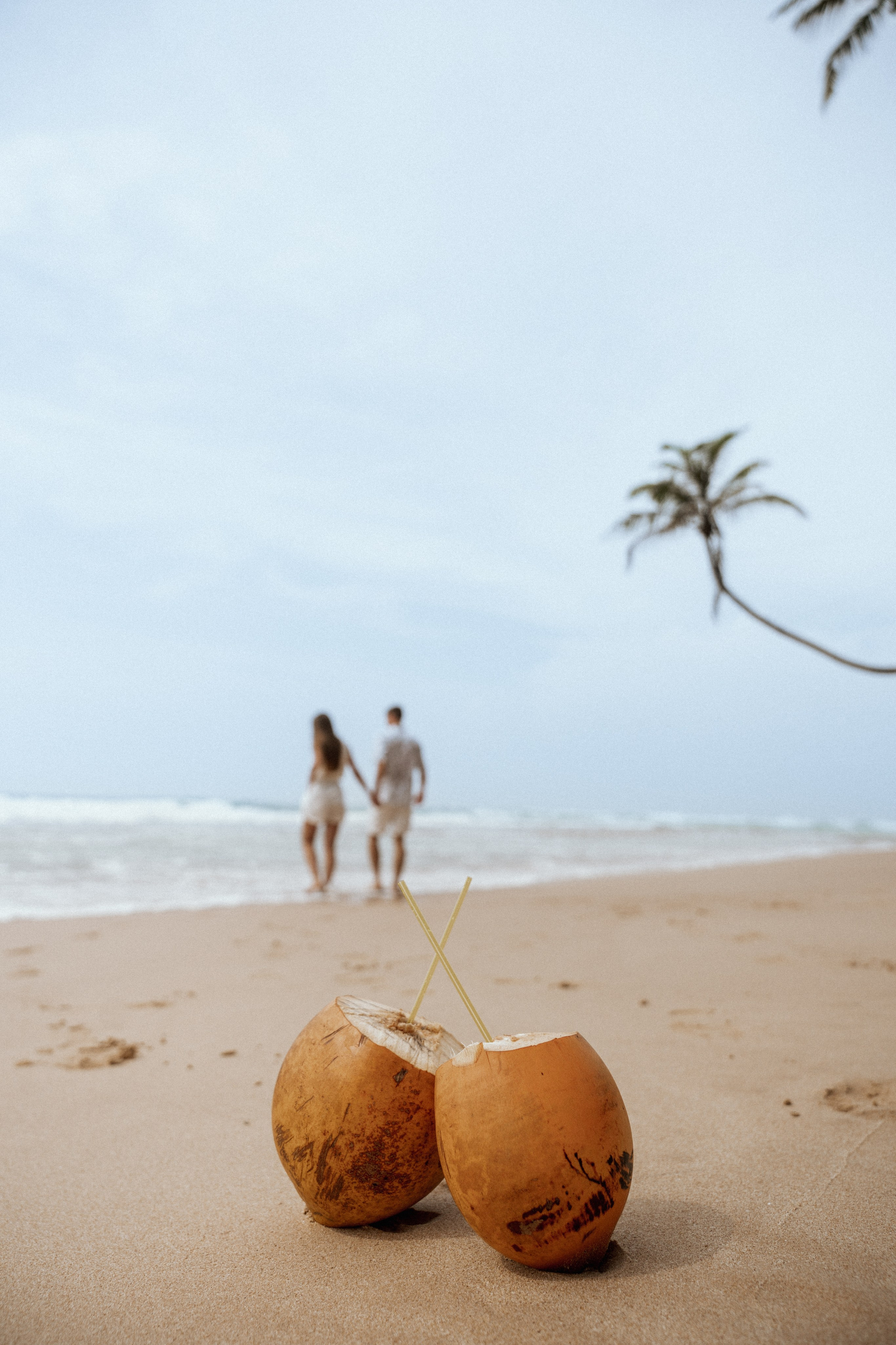 Evgeniy & Lesya. Dolce_wedding