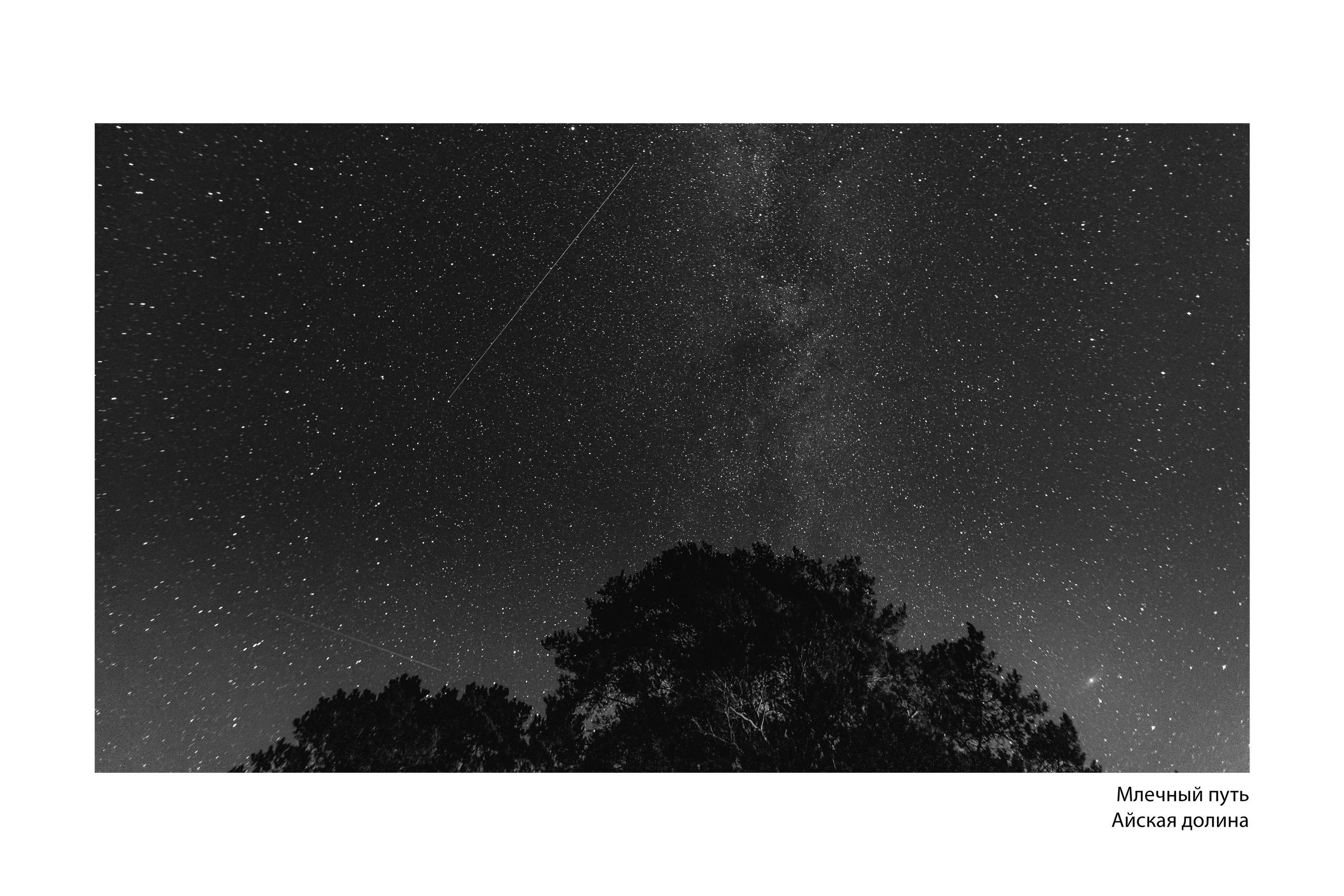 Документальный фотопроект «ЛизаАлерт: вопреки времени». Репортажный фотограф Наталья Лапцевич