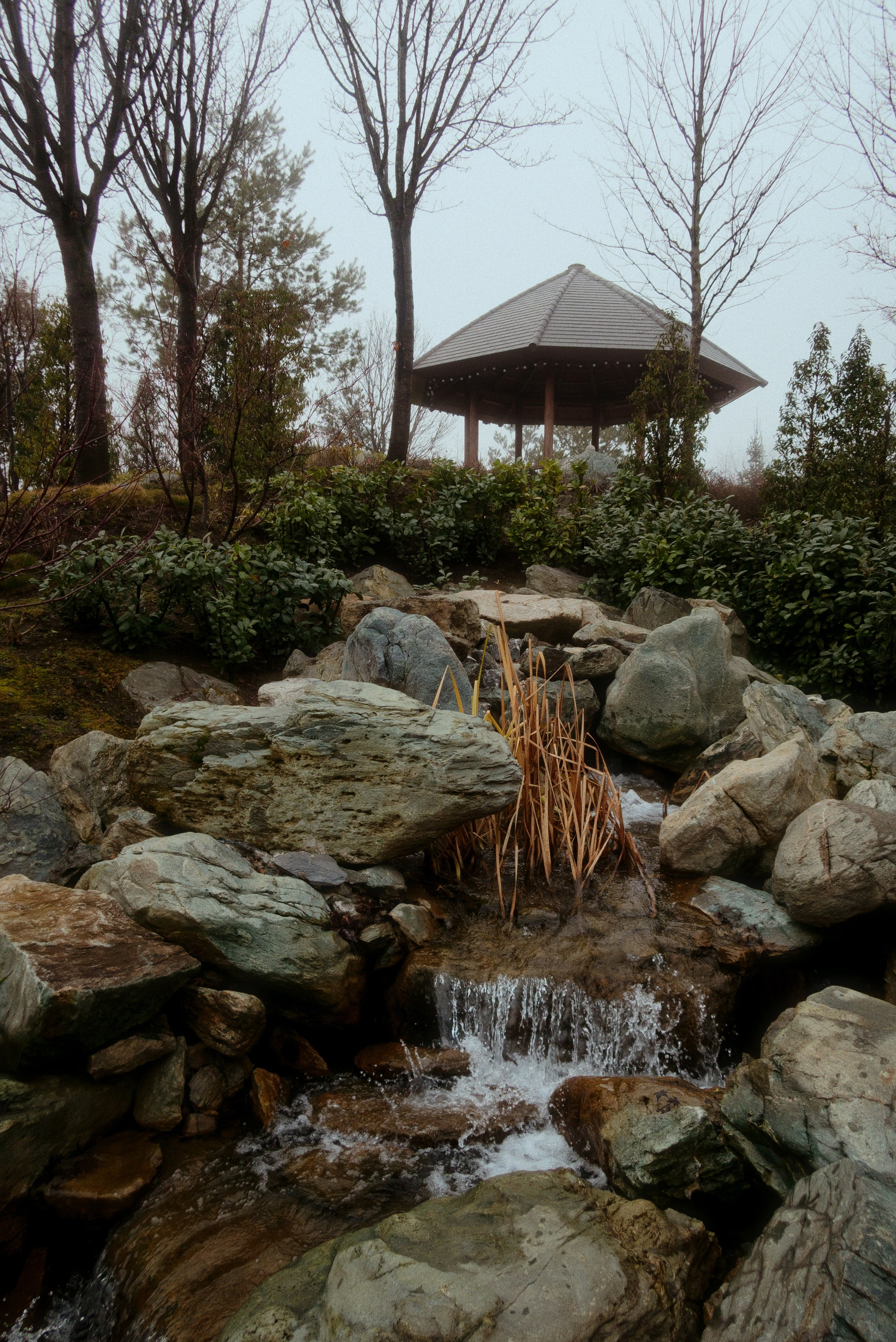 OM-System Tough-7 / Park Krasnodar (japan). Фотограф Юрин Евгений